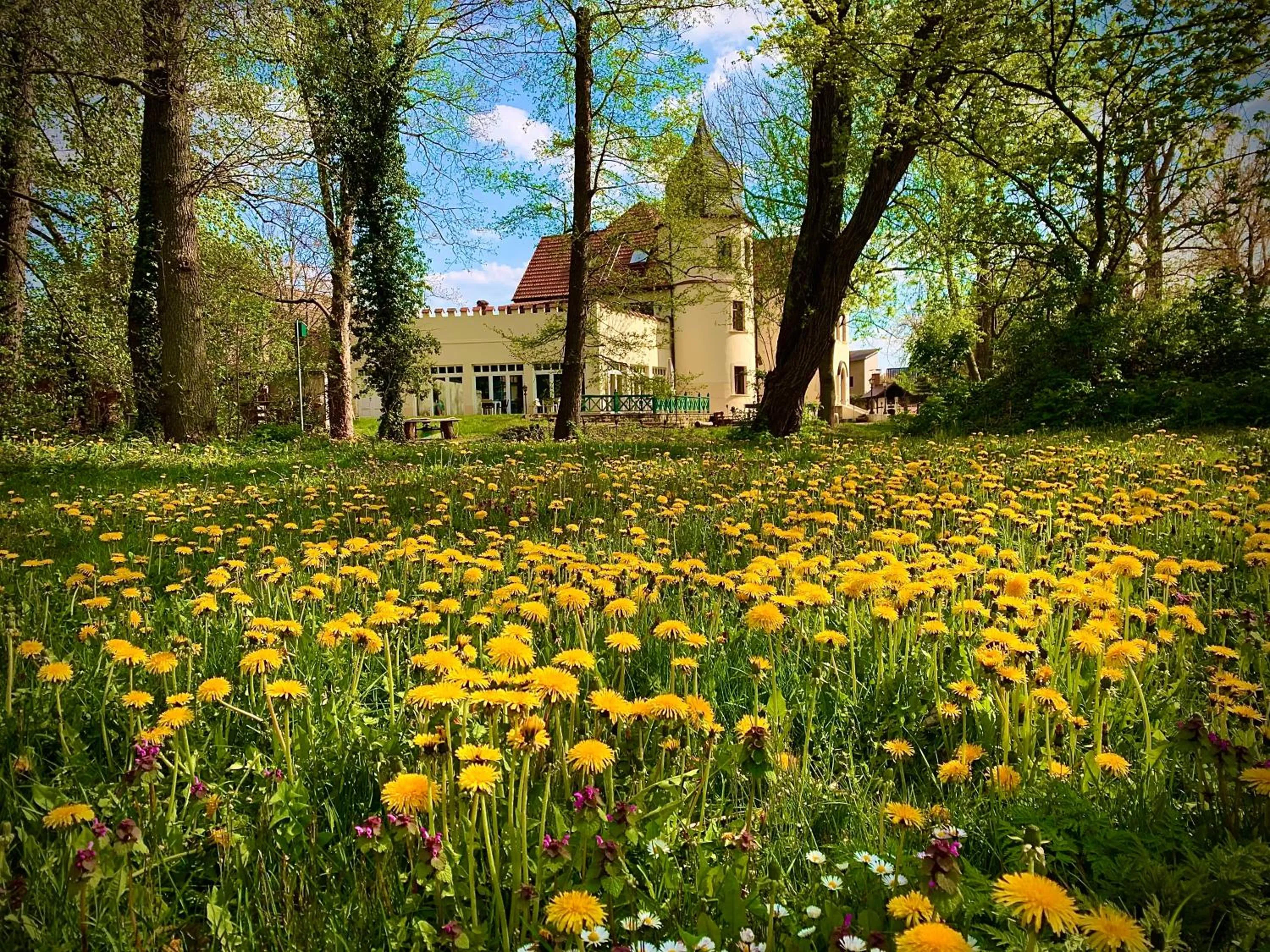 Spring in Parkschlößchen Hotel