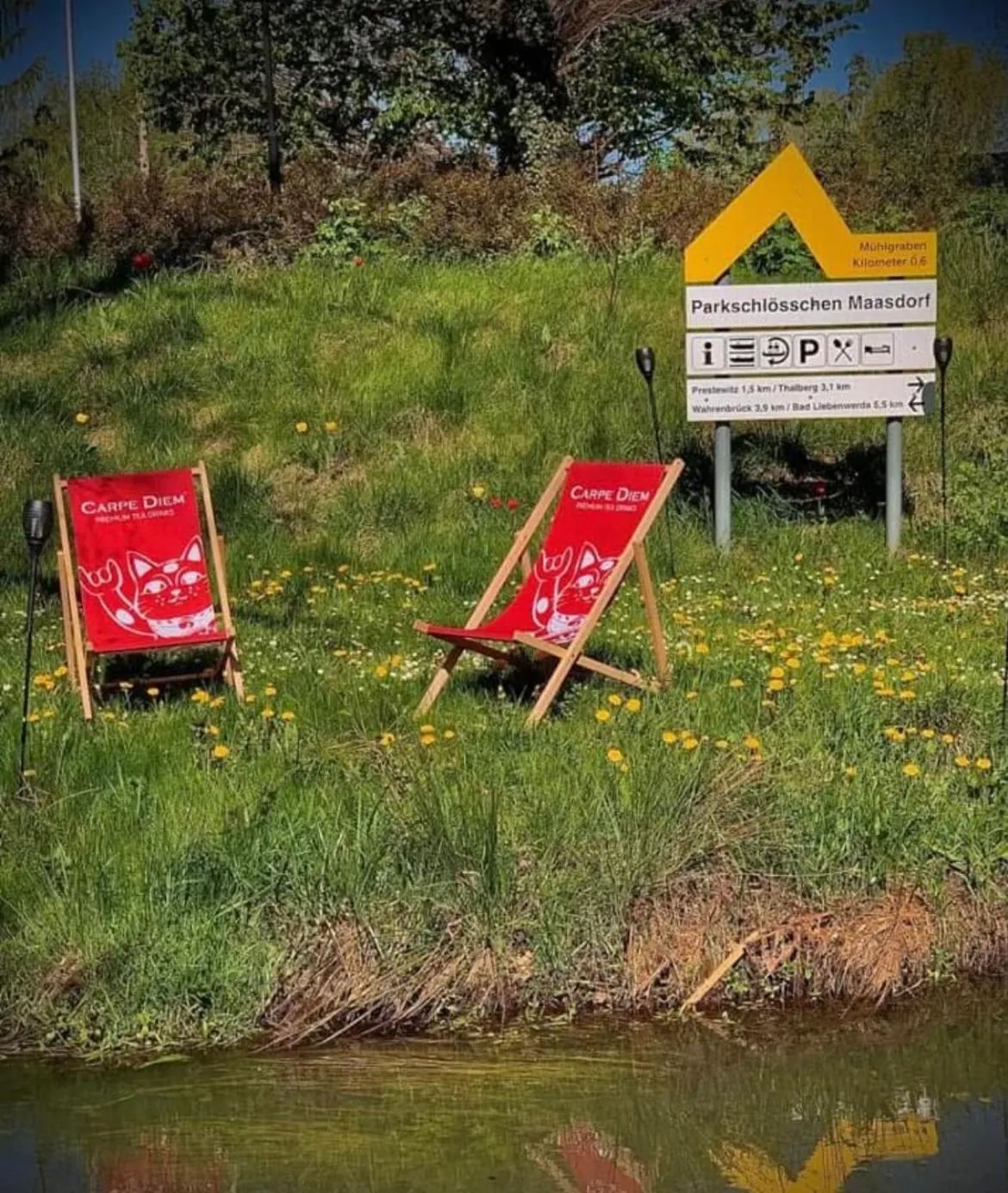 Garden in Parkschlößchen Hotel