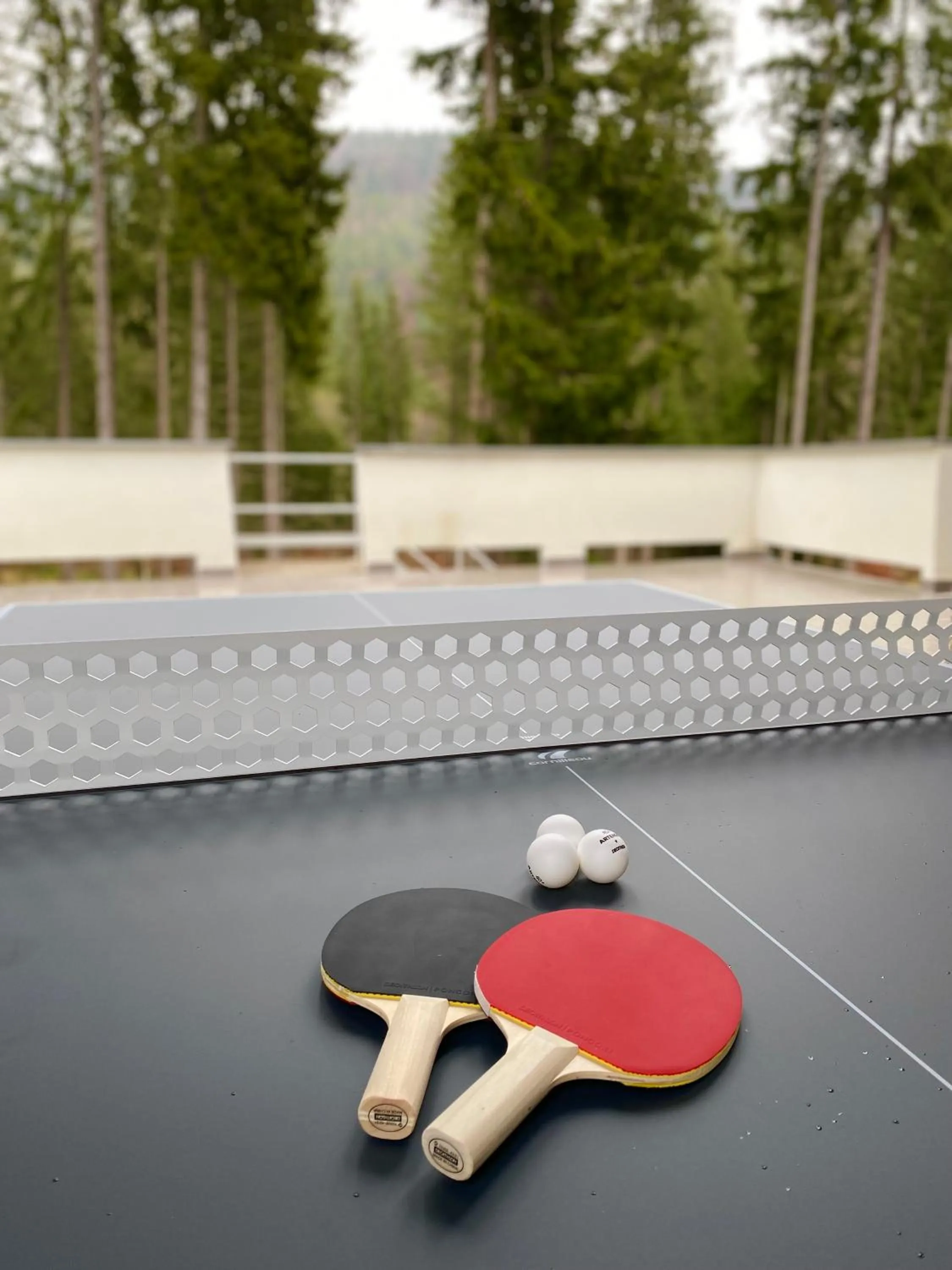 Table tennis in Chata Tale - Dom Horskej služby