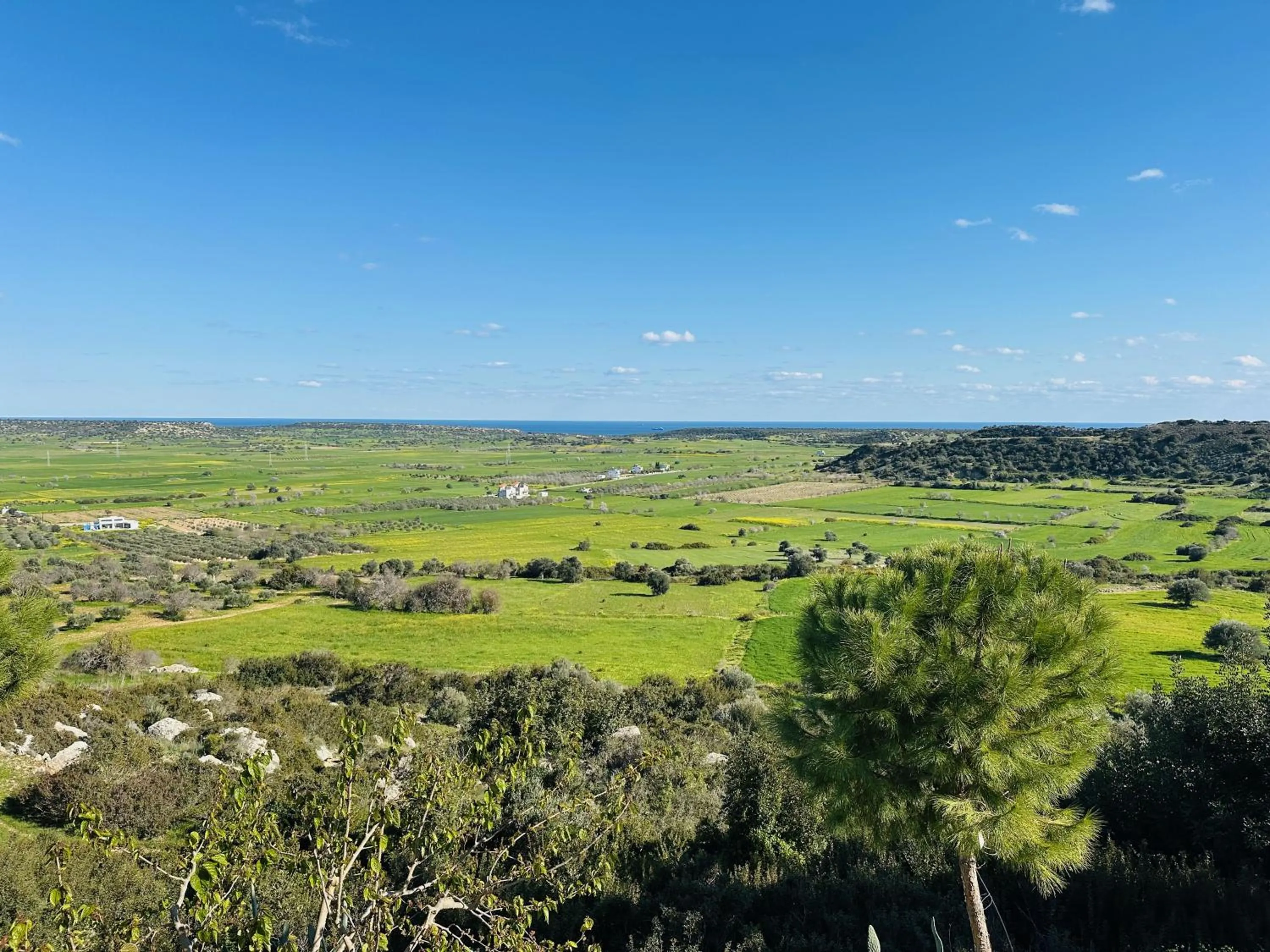 Garden in Celebi Garden Hotel - Cittaslow Retreat