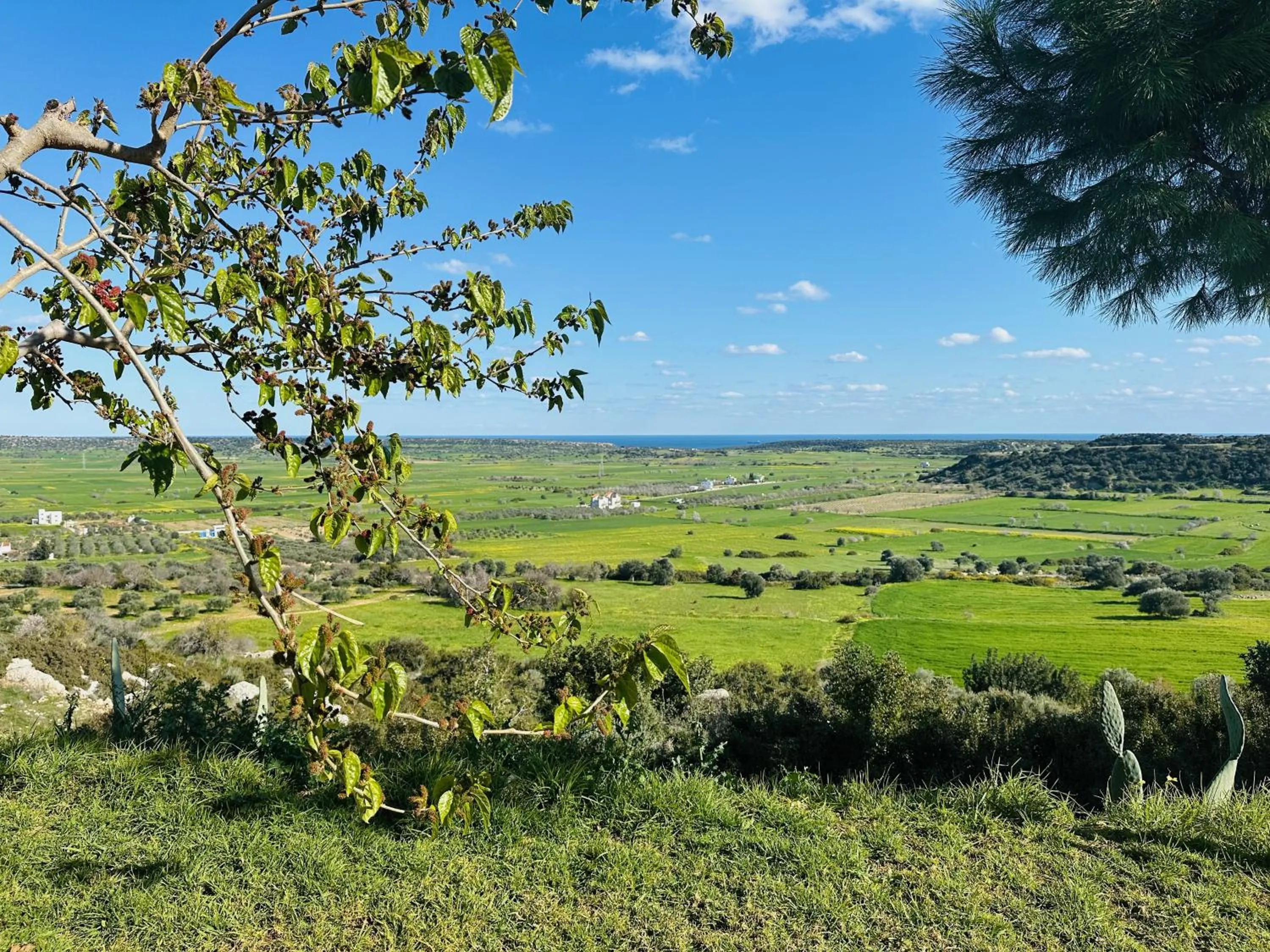 View (from property/room) in Celebi Garden Hotel - Cittaslow Retreat