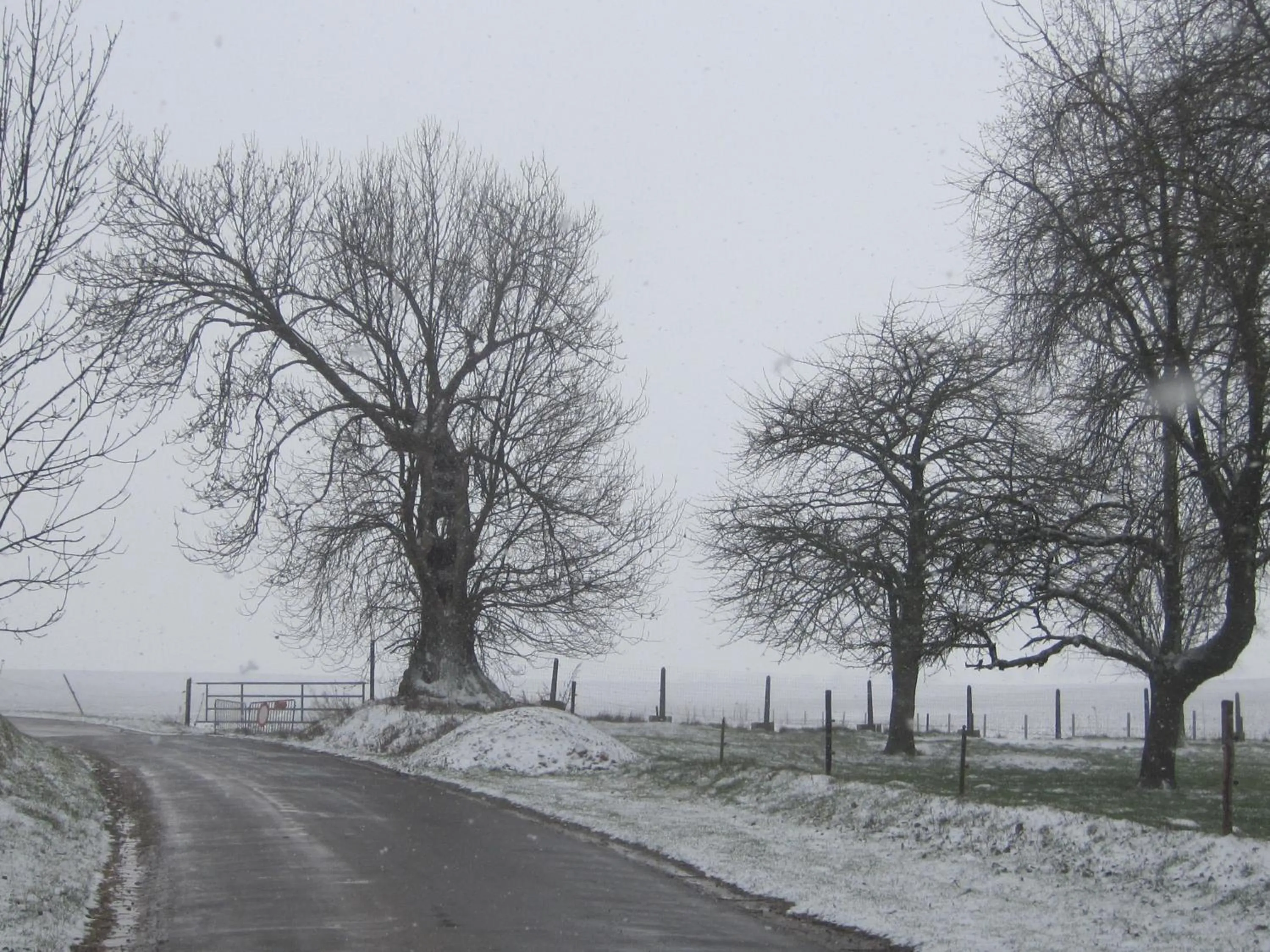 Area and facilities in B&B Haspenhoeve