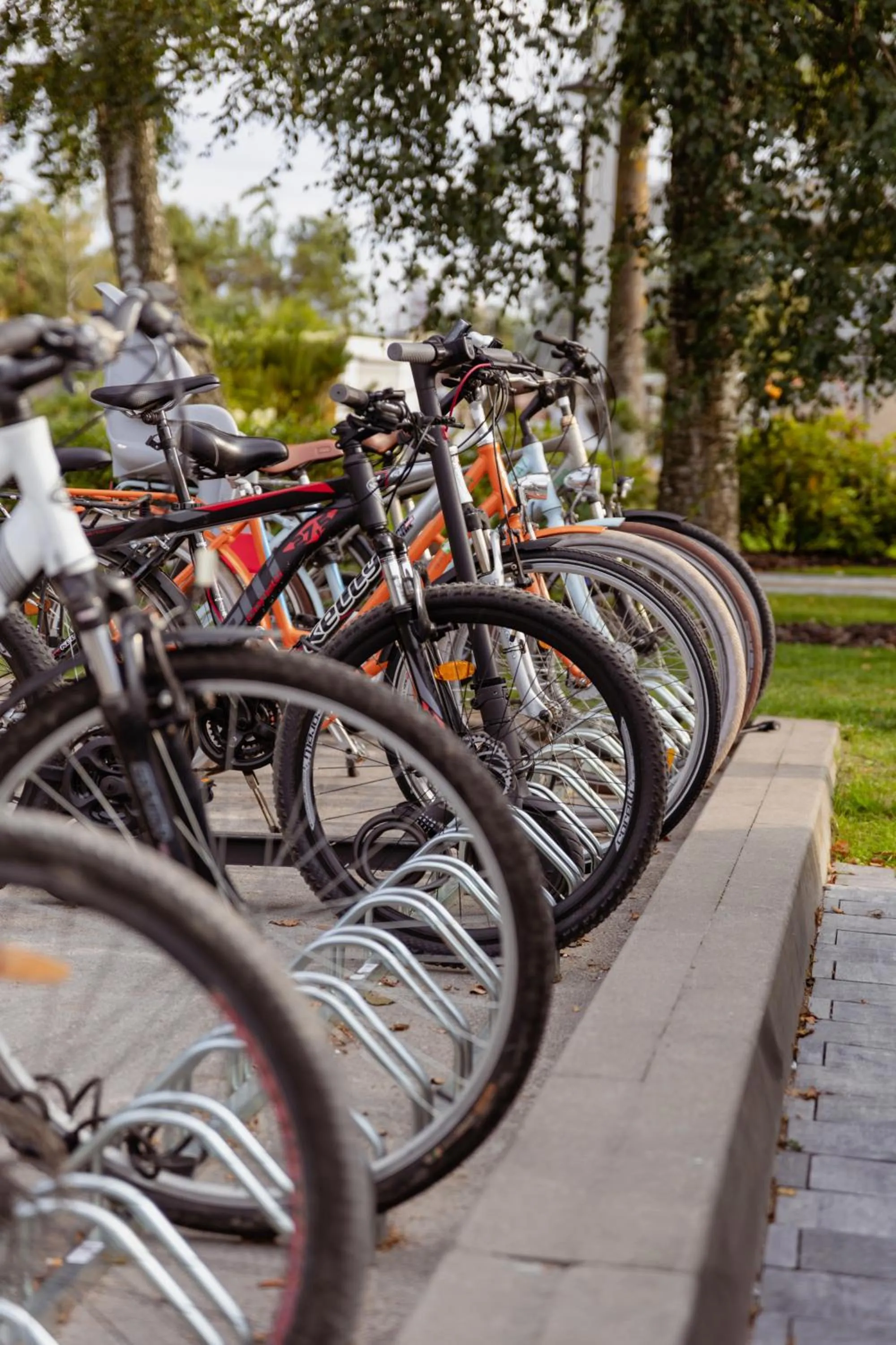 Cycling in Gradiali Wellness and SPA