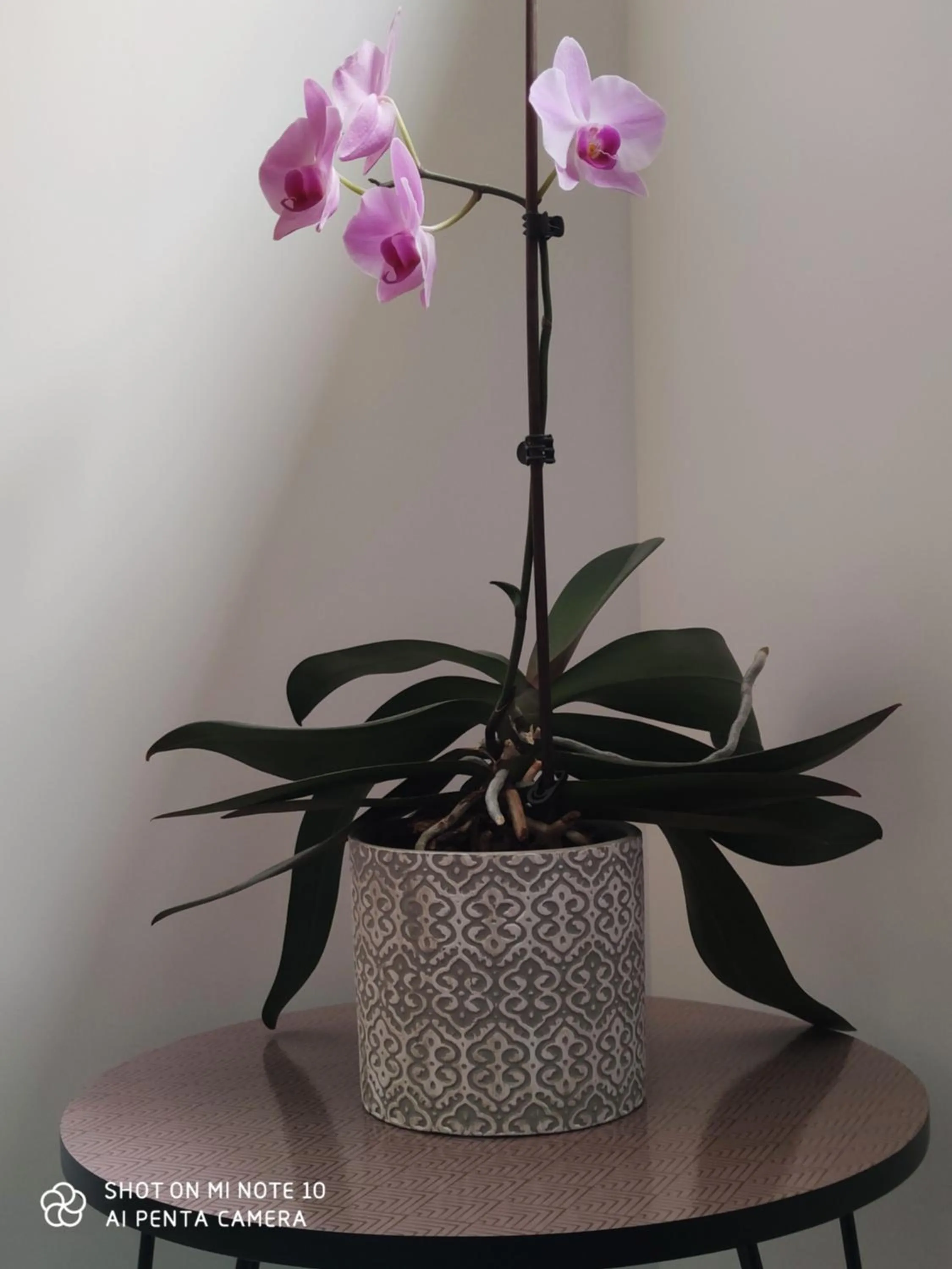 Chambre d'hôtes du Muguet avec SdB privative