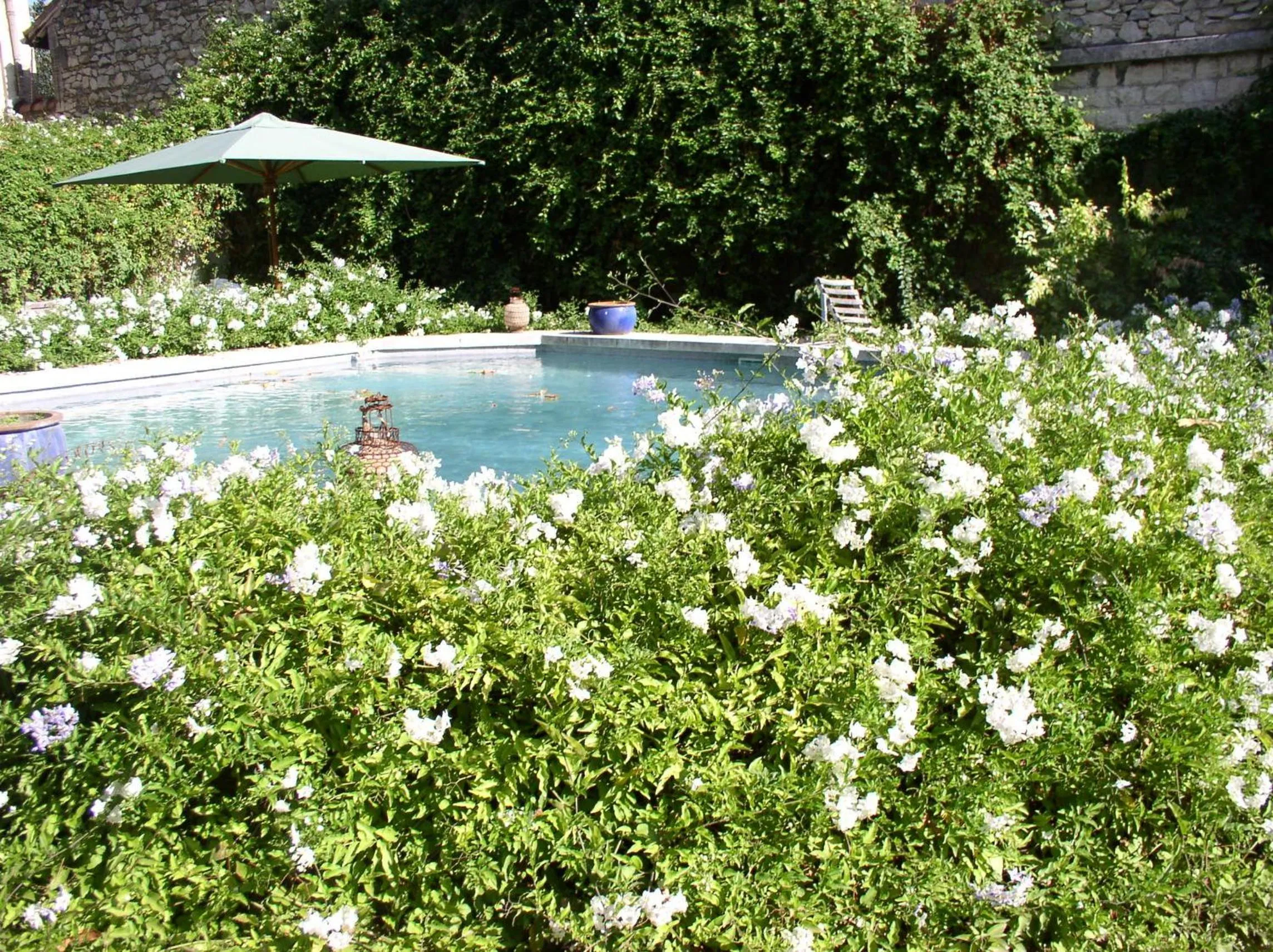 Swimming pool in La Maison de Sophie