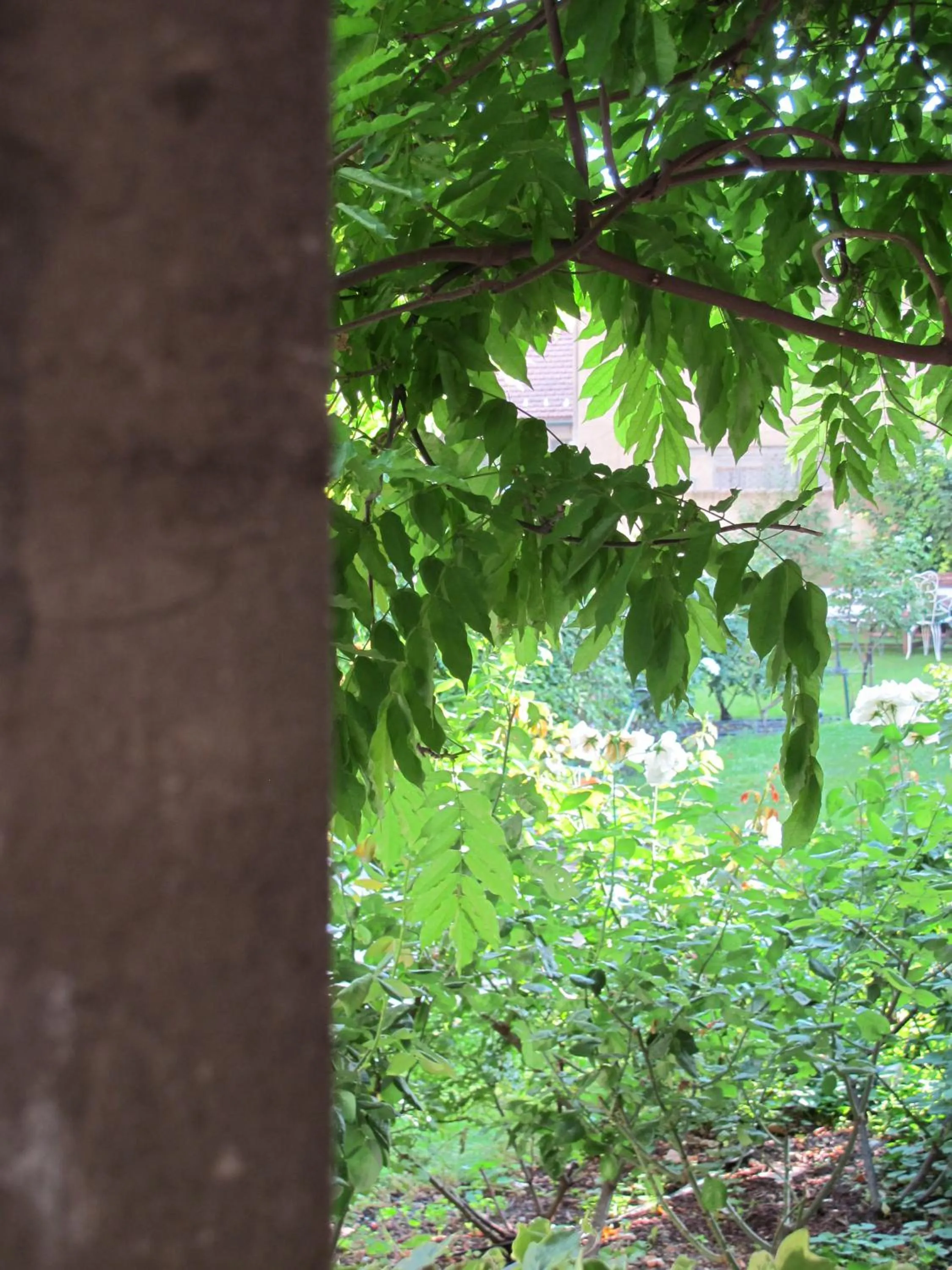 Garden view in La Maison de Sophie