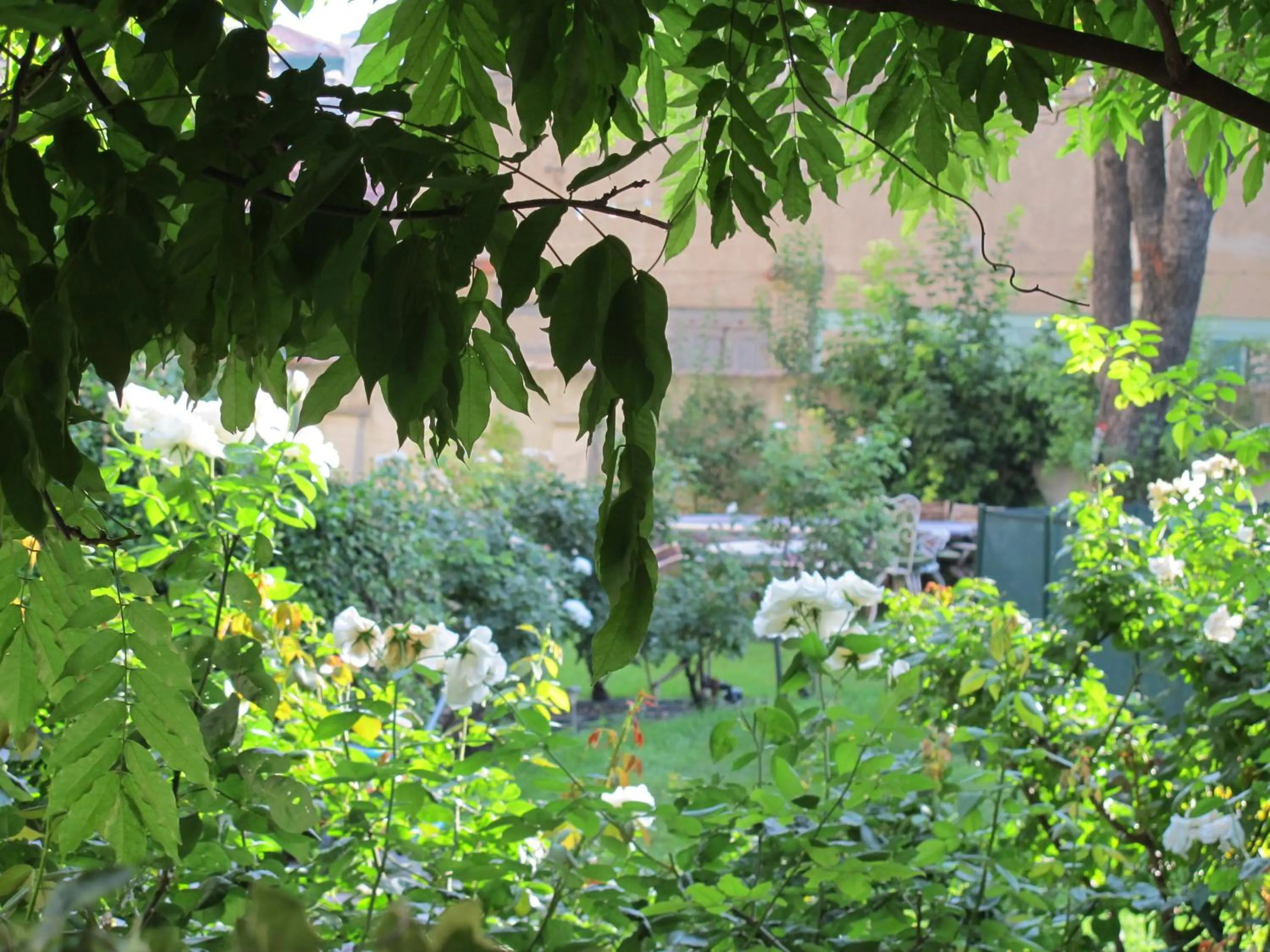 Garden in La Maison de Sophie