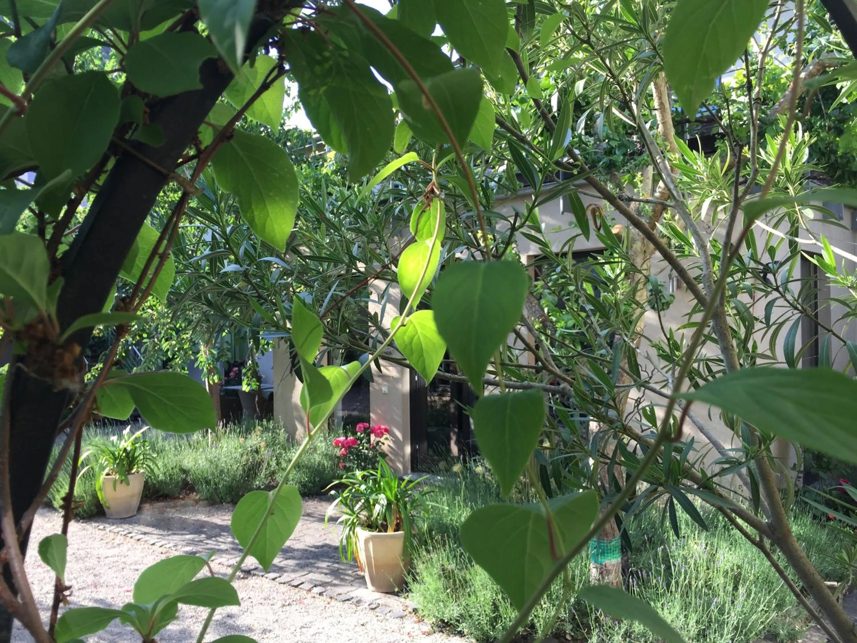 Garden in Jugendstil-Hof