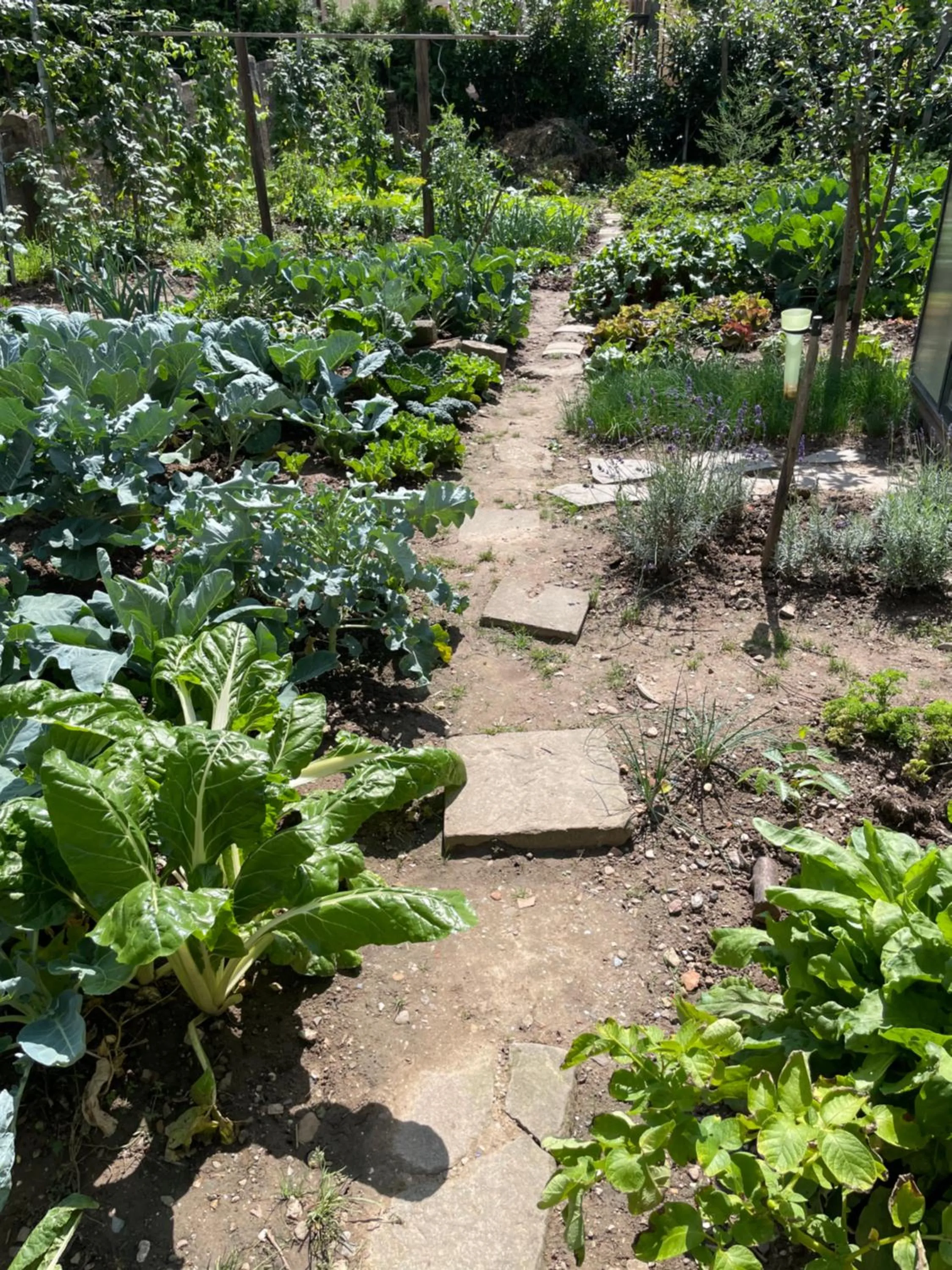 Garden in Jugendstil-Hof