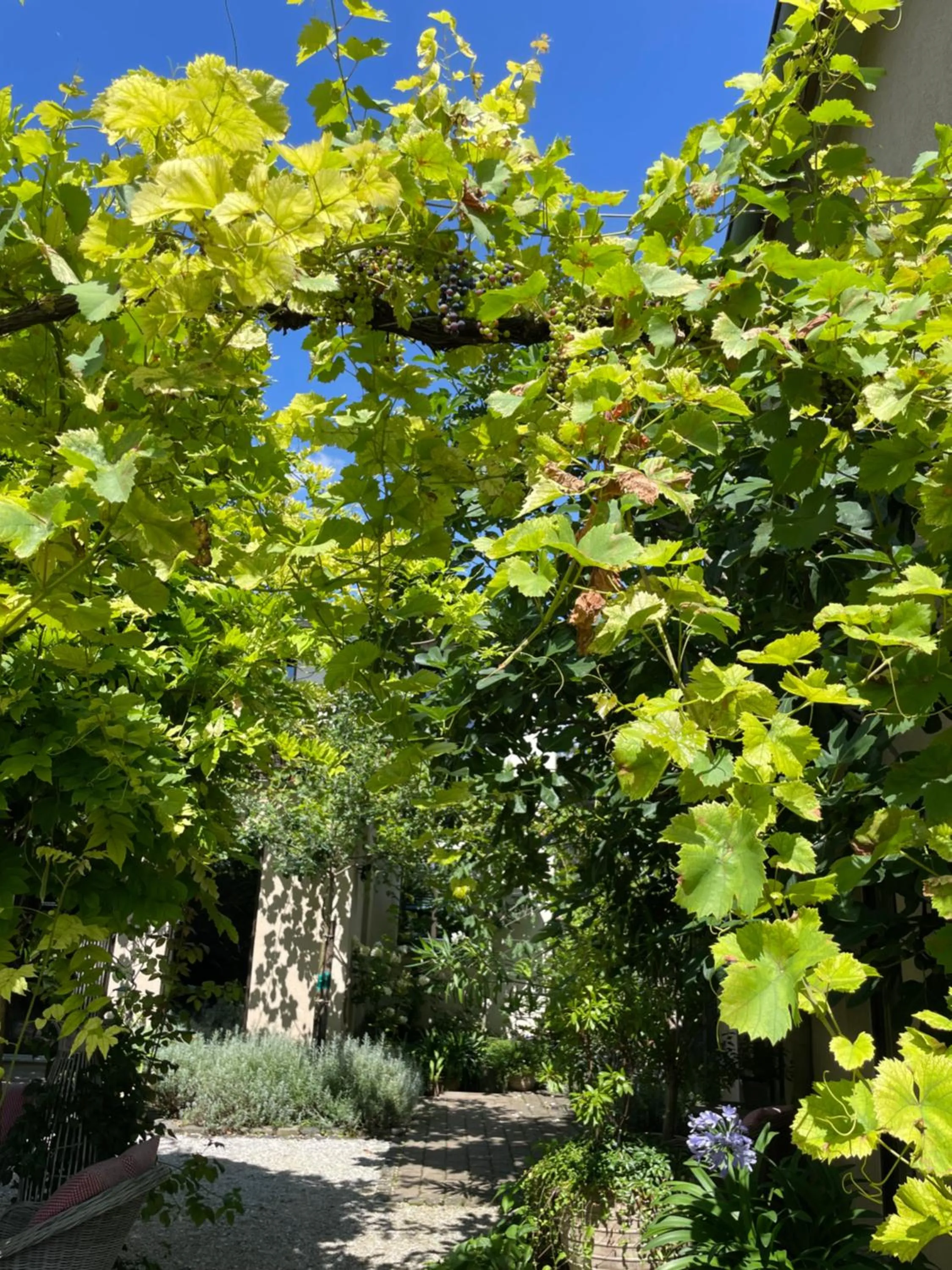 Patio in Jugendstil-Hof