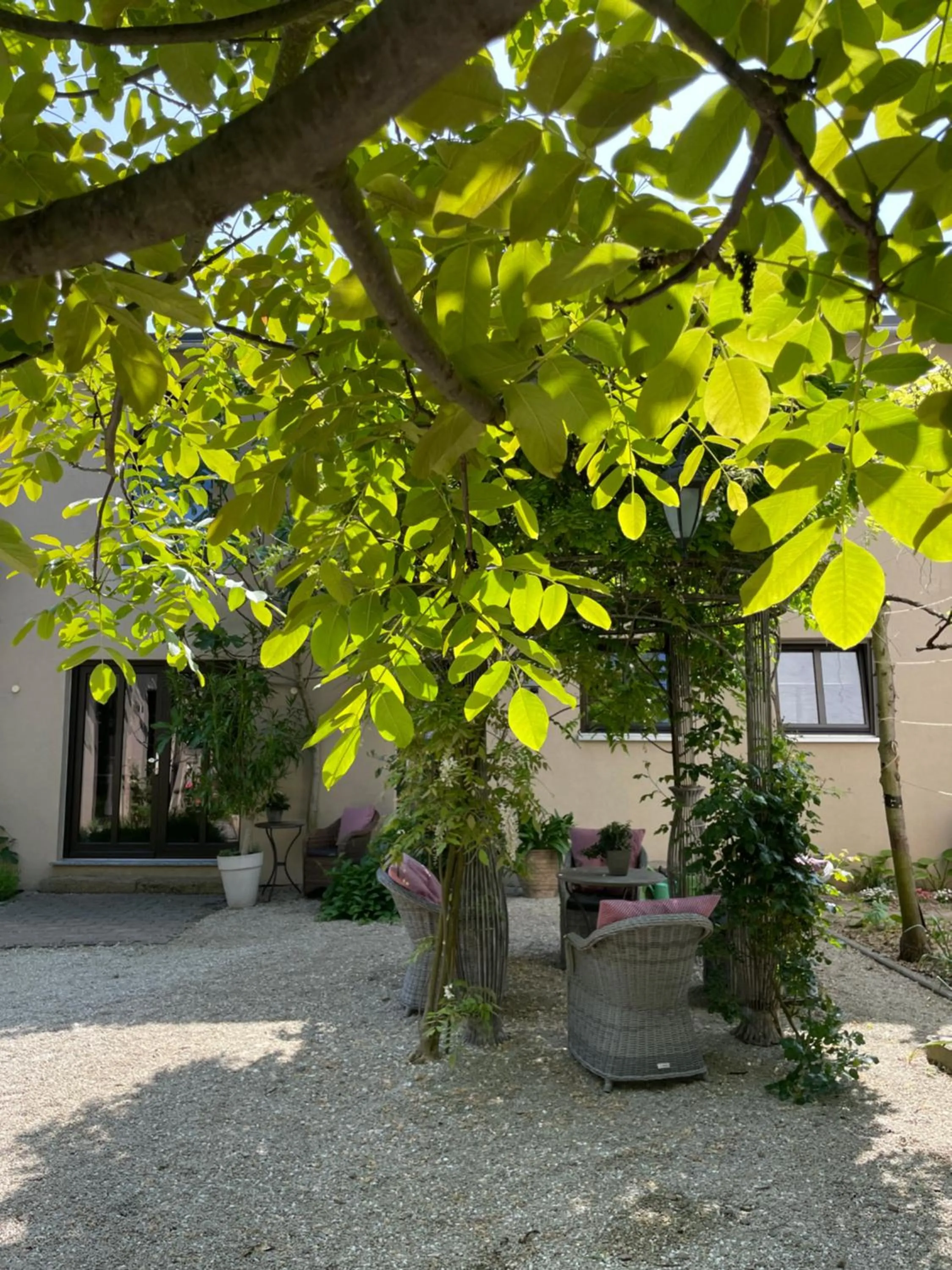 Garden in Jugendstil-Hof