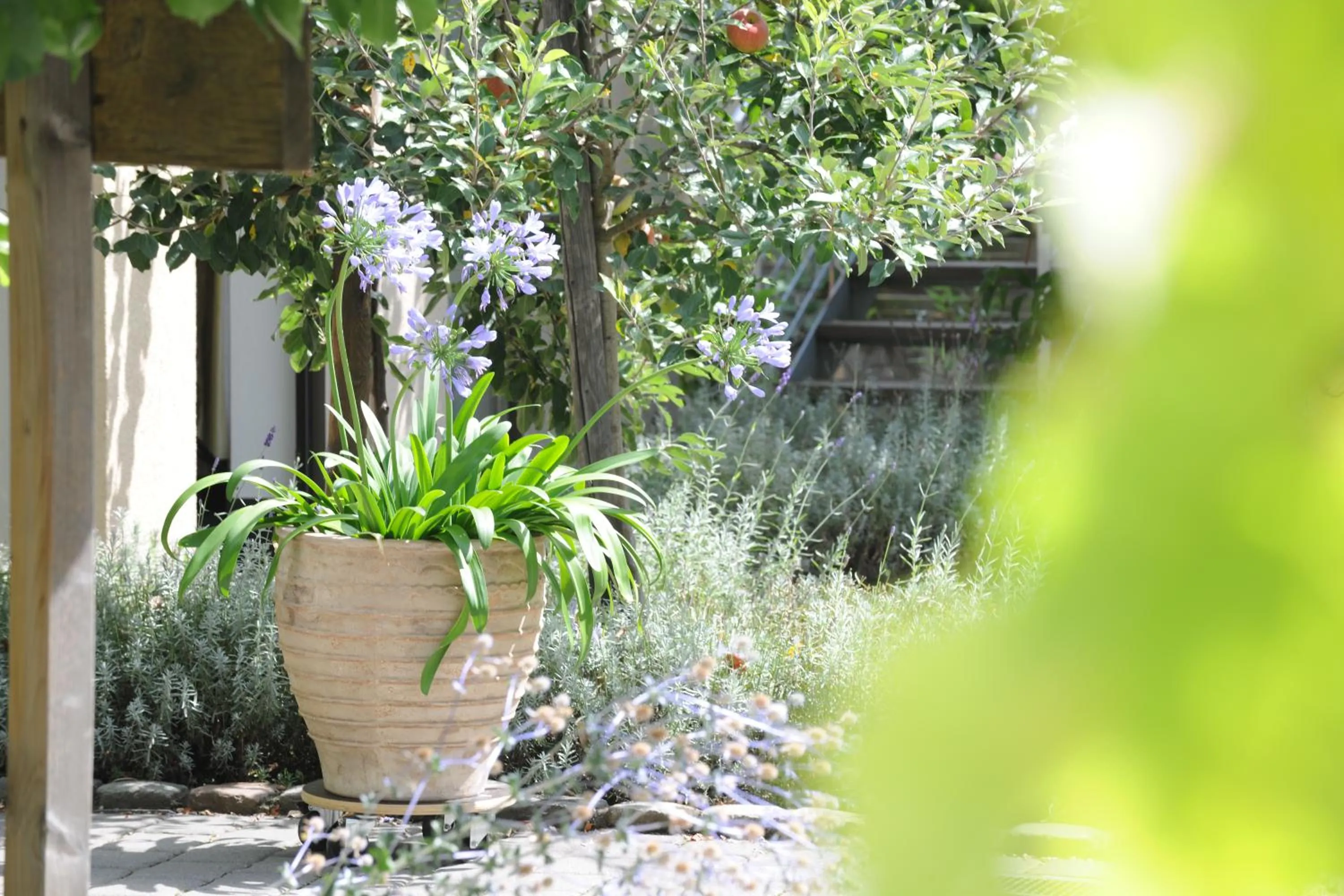 Patio in Jugendstil-Hof