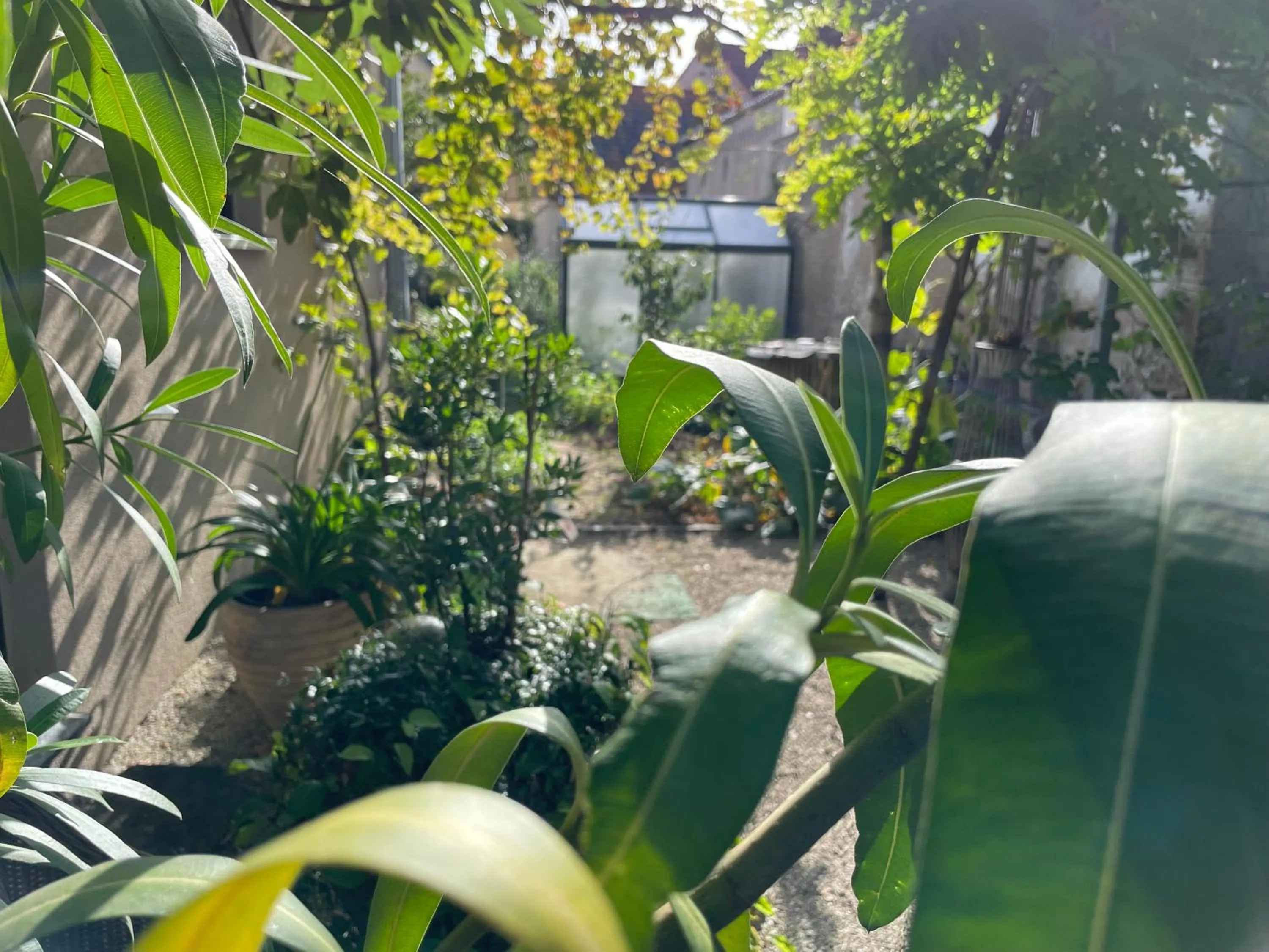 Garden in Jugendstil-Hof