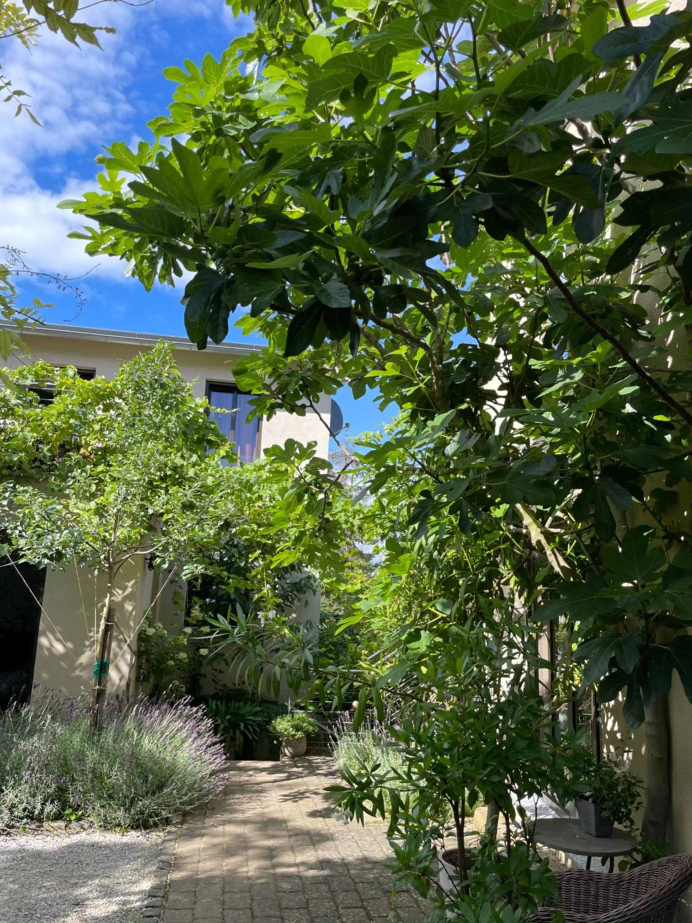 Patio in Jugendstil-Hof