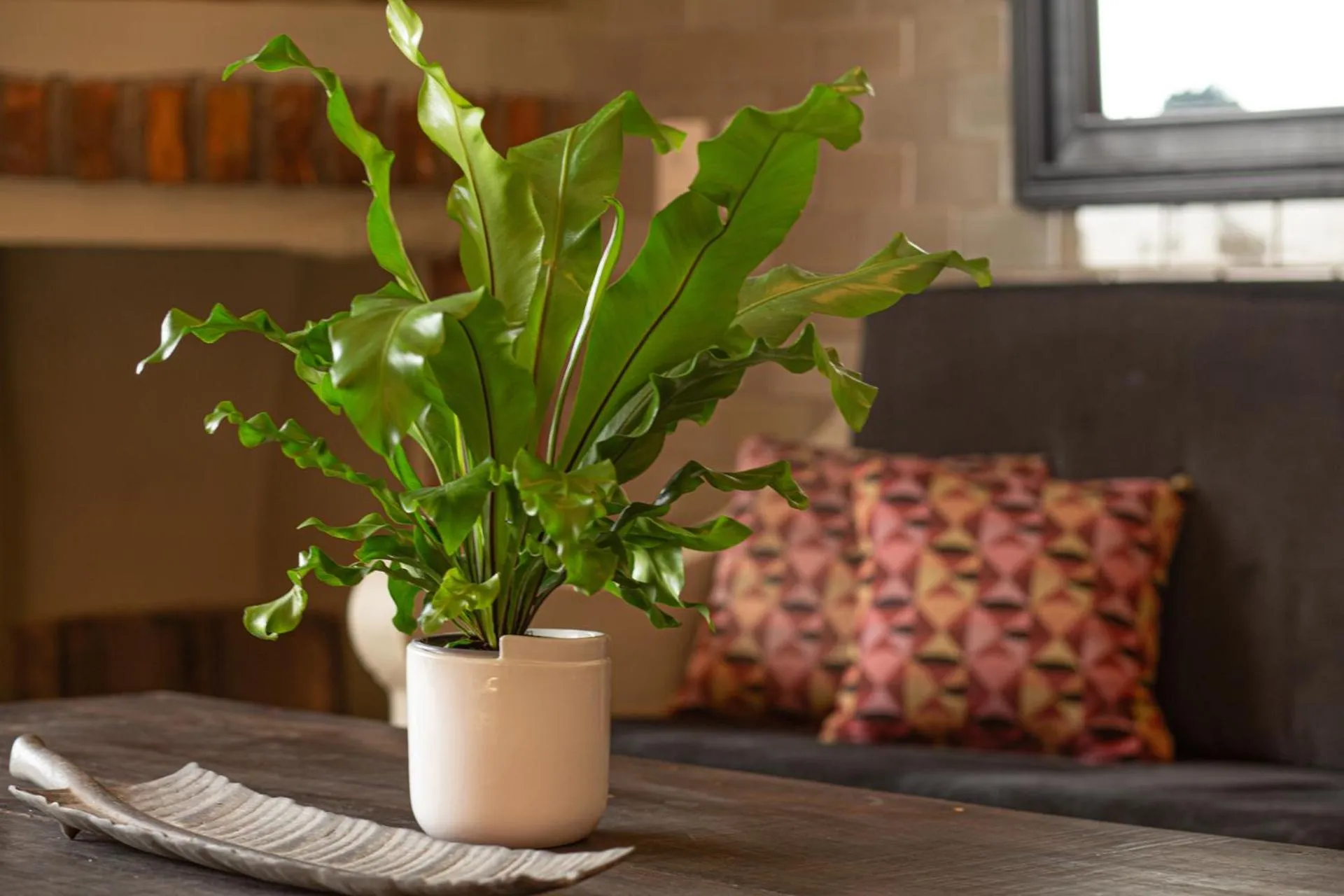Living room in Quinta Maria Cortez Beach Hotel