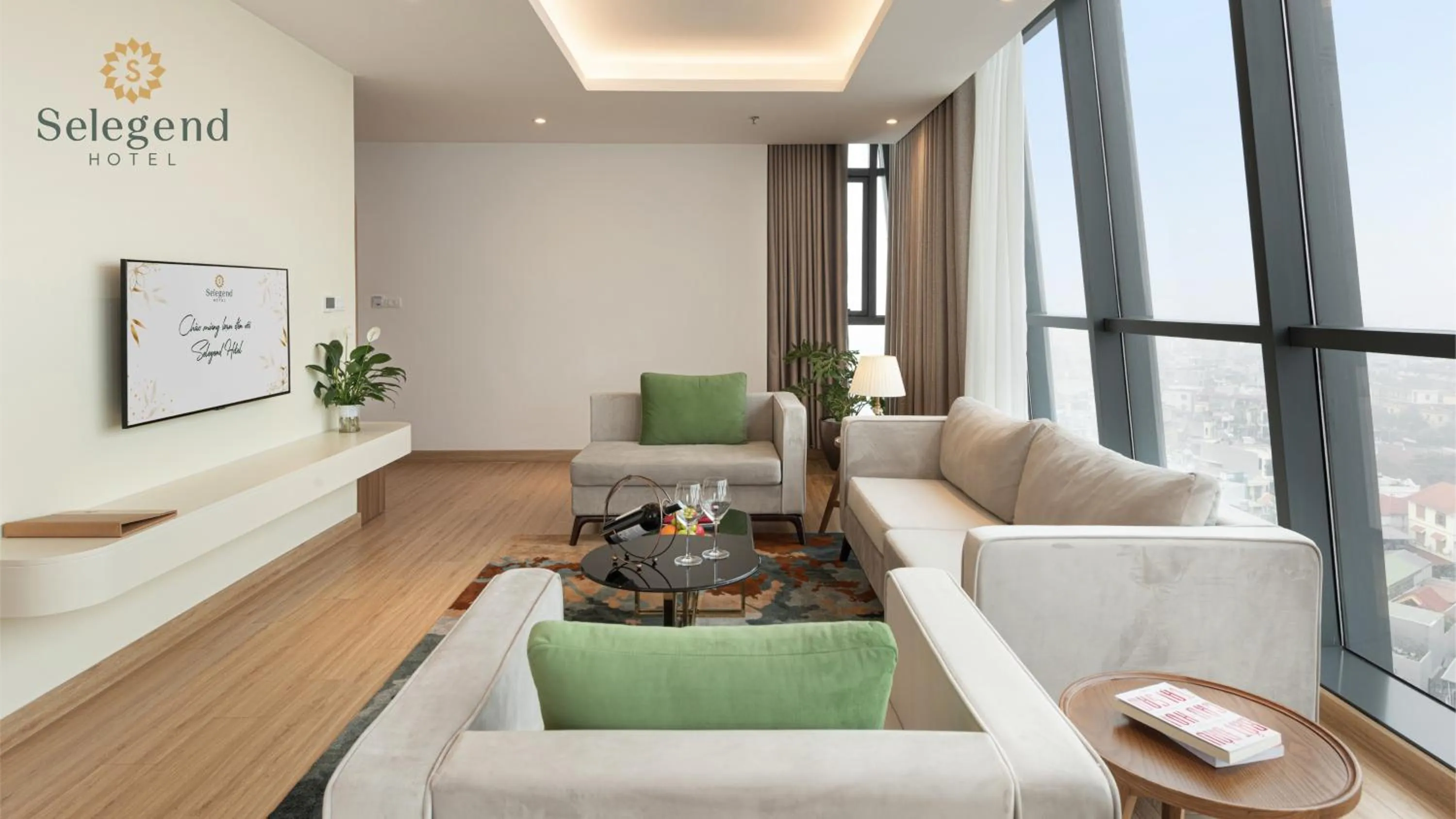 TV and multimedia in Selegend Hotel Thái Bình