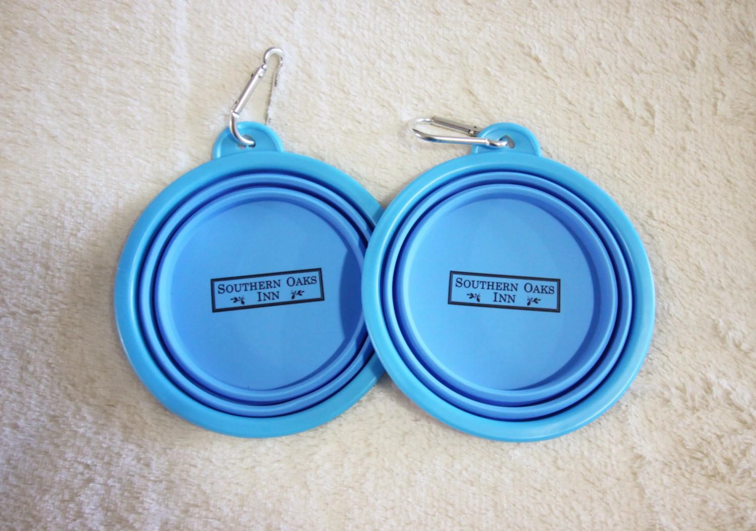 Animals in Quality Inn St Augustine Historic District Area