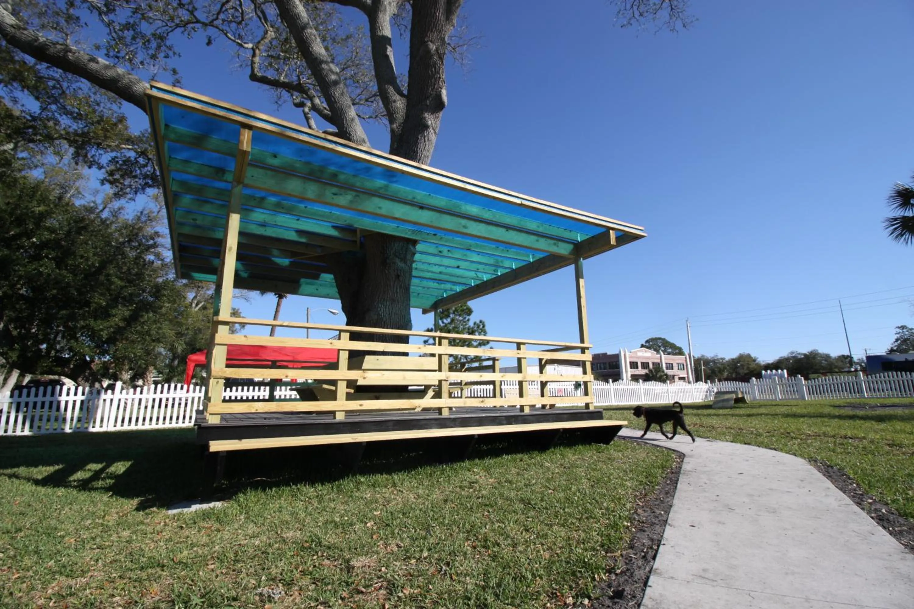 Animals in Quality Inn St Augustine Historic District Area