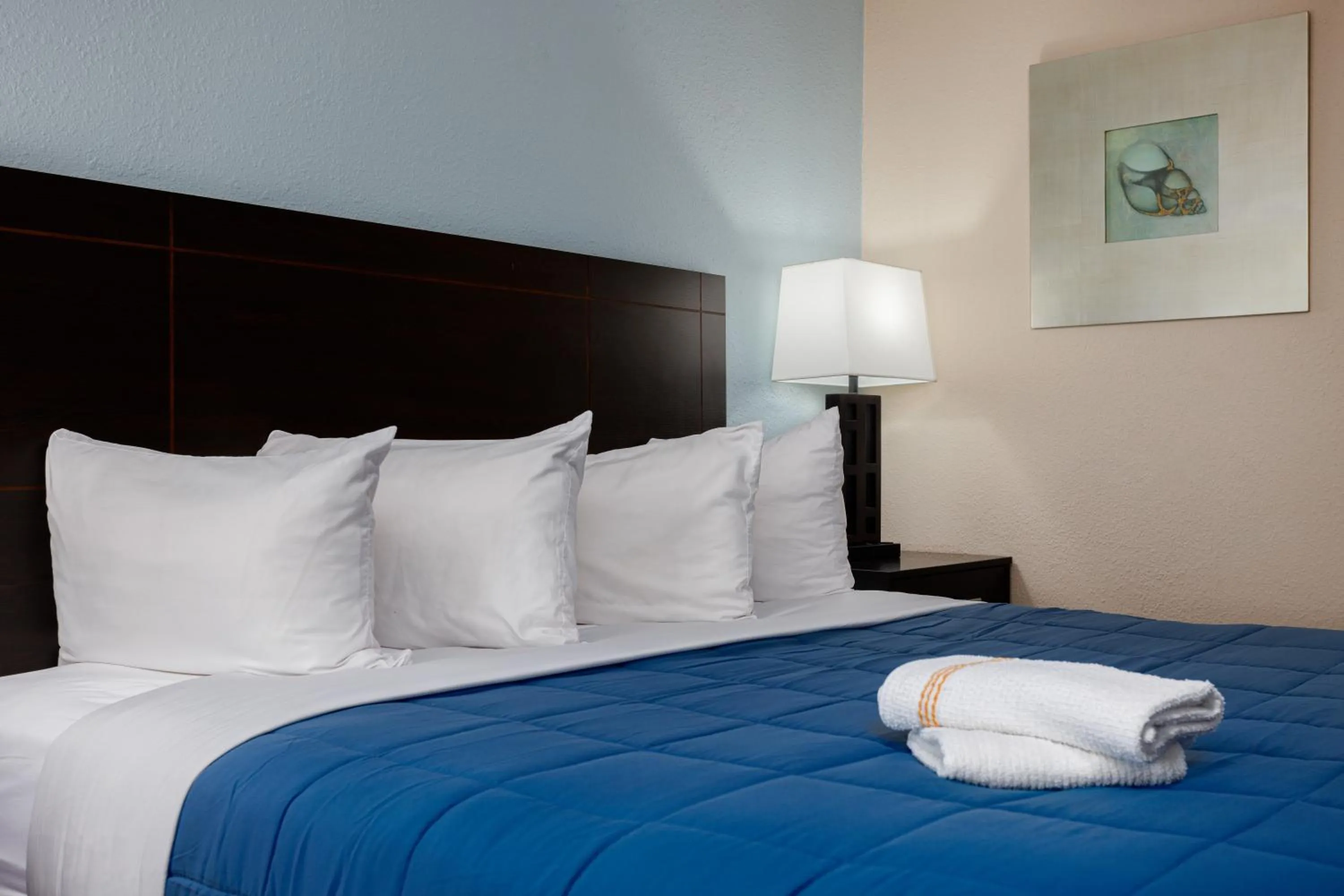 Bed in Quality Inn St Augustine Historic District Area