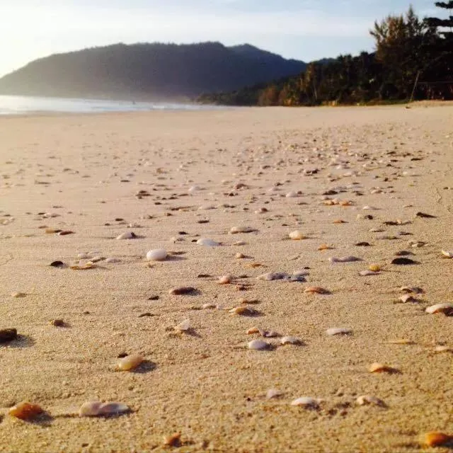 Beach in Bamboo Resort
