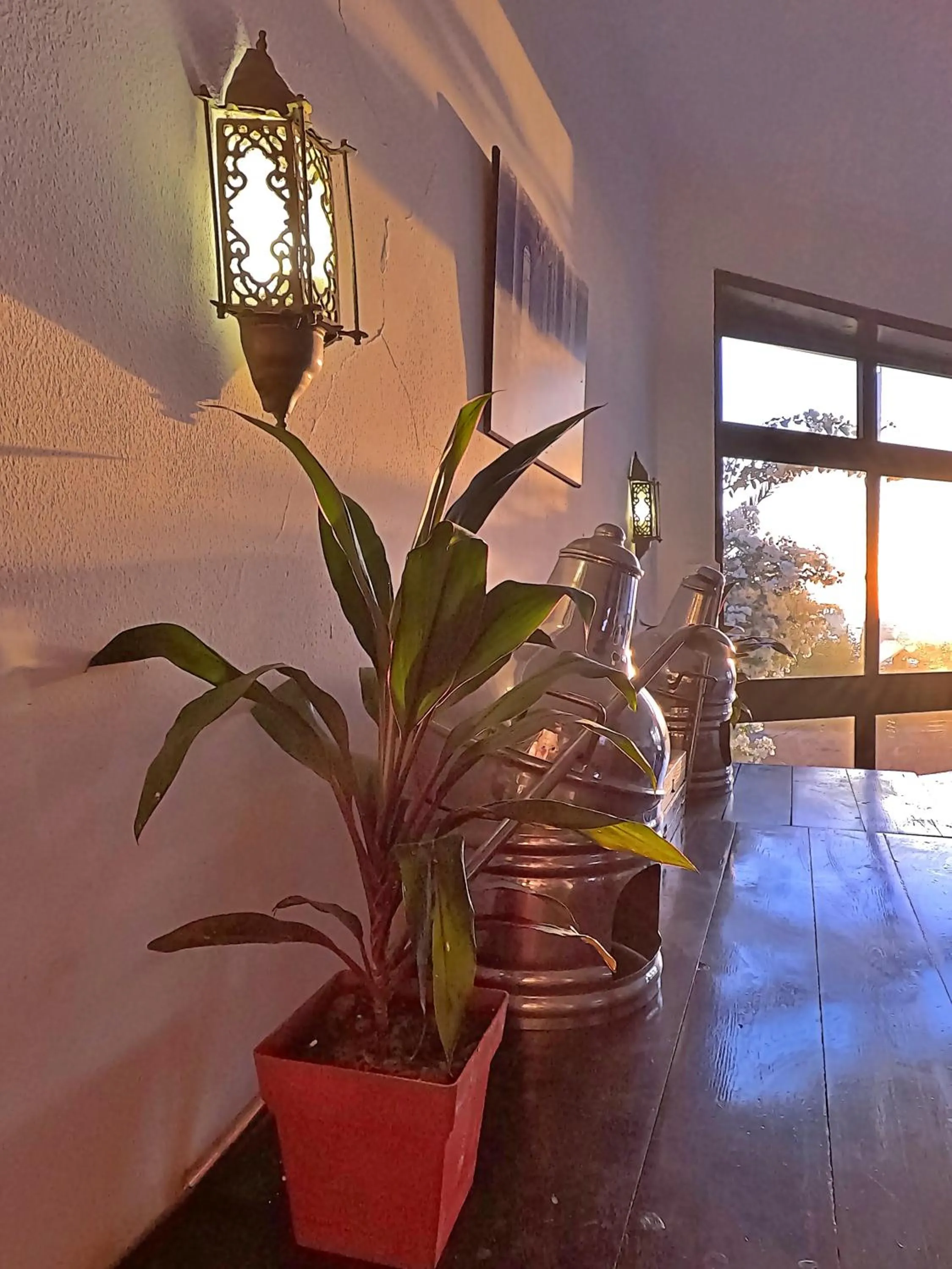 Restaurant/places to eat in Dahab Bay hotel