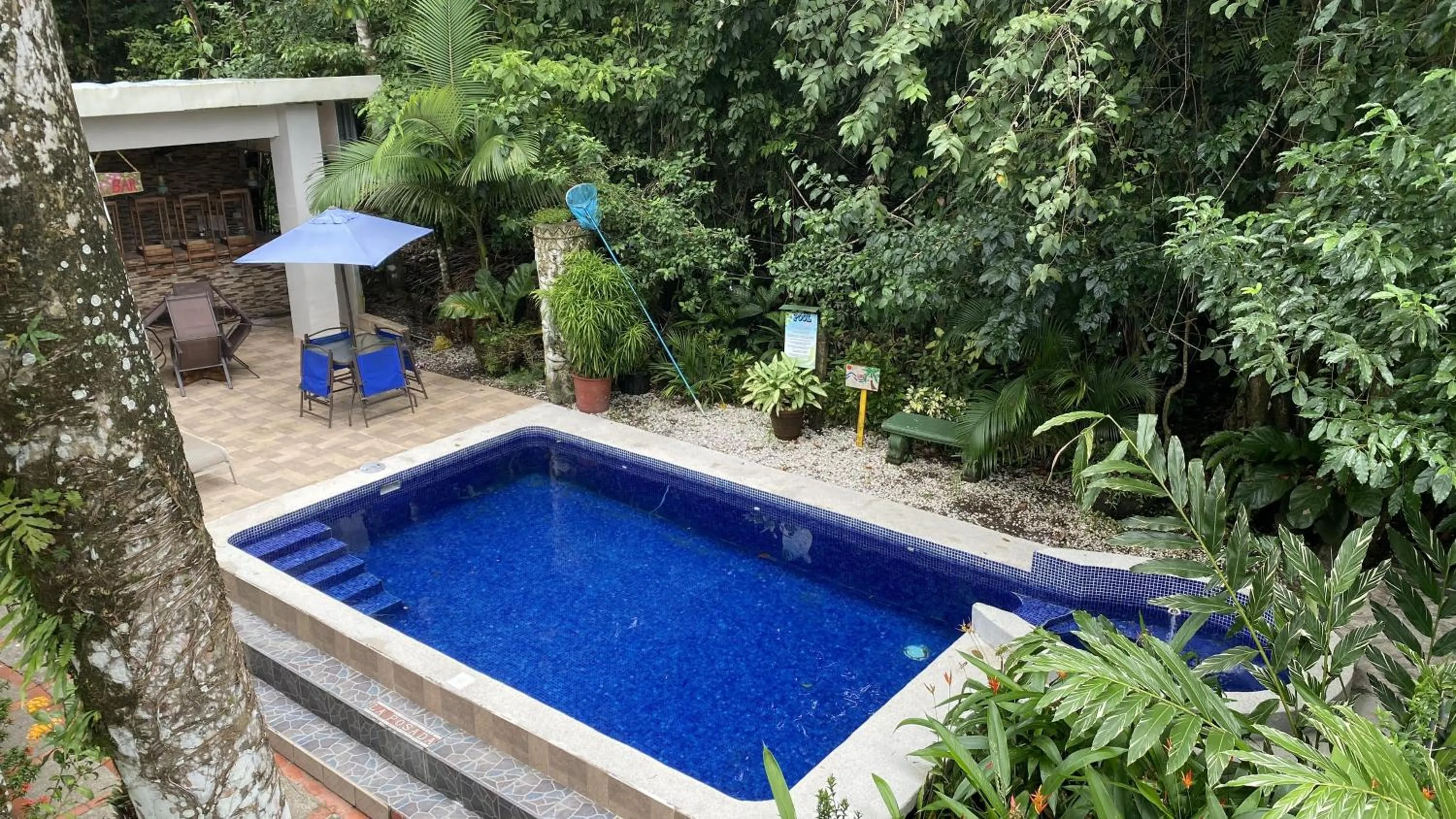 Pool view in La Posada Jungle Hotel