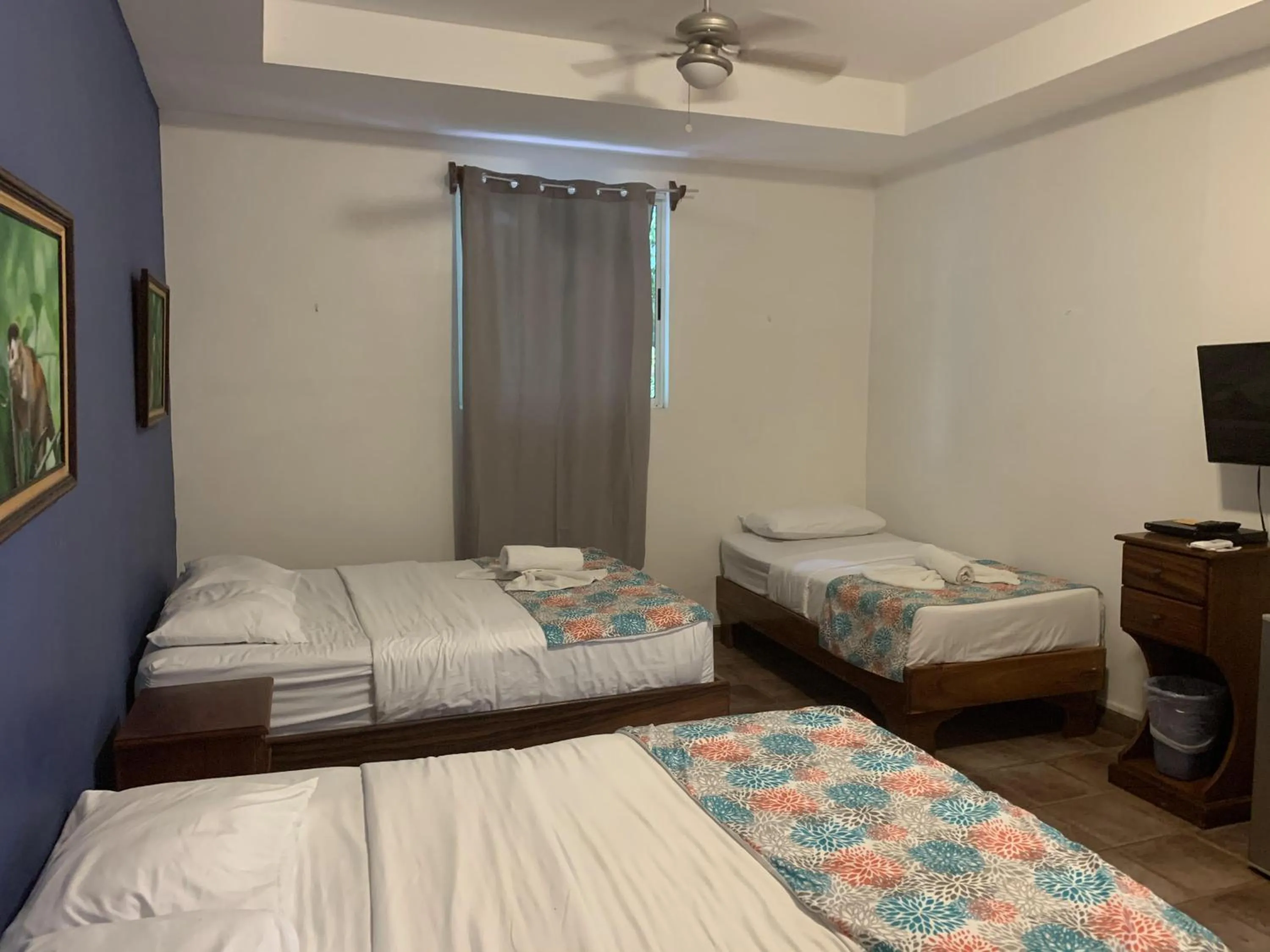 Photo of the whole room, Bed in La Posada Jungle Hotel