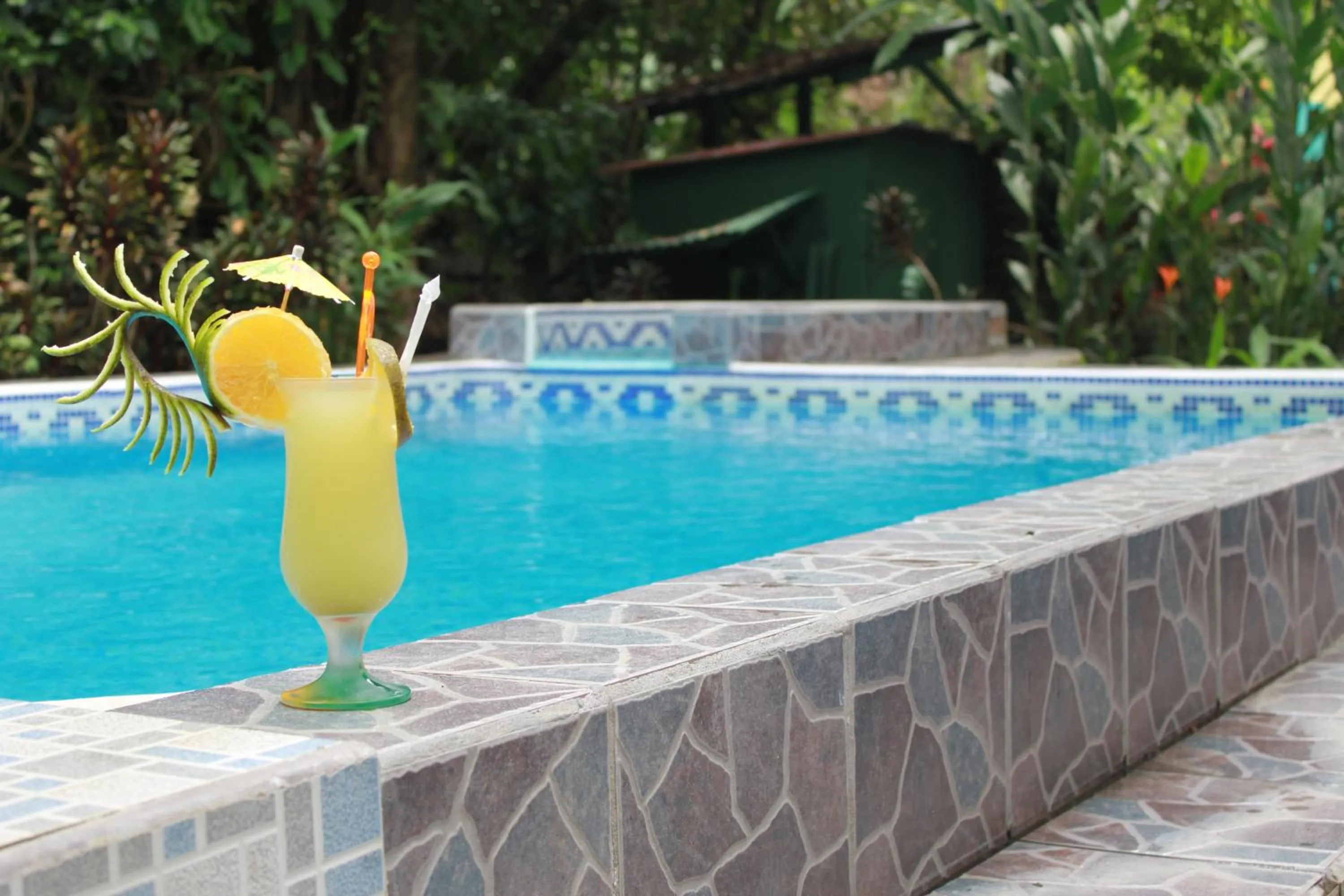 Area and facilities in La Posada Jungle Hotel