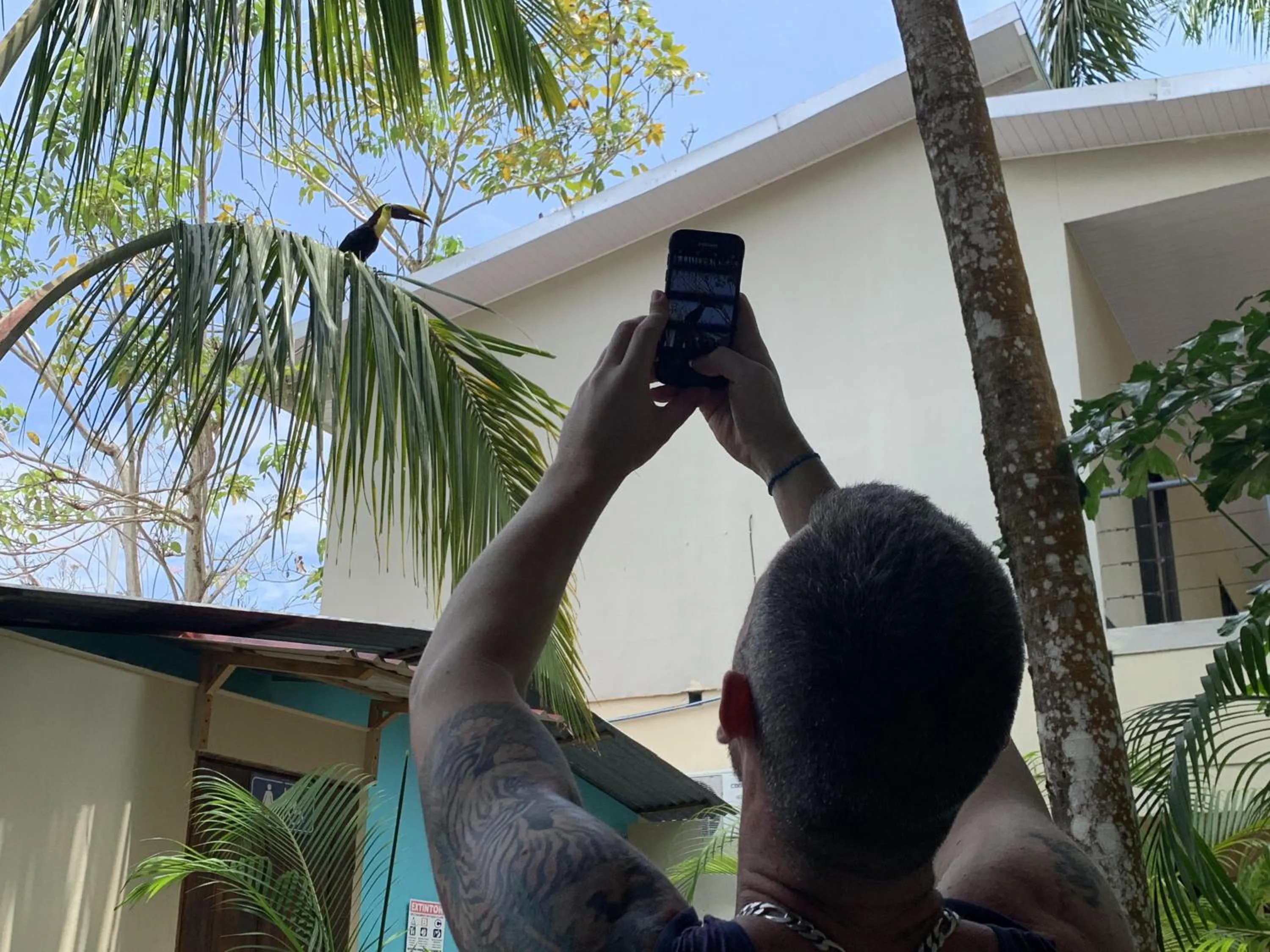 Animals in La Posada Jungle Hotel