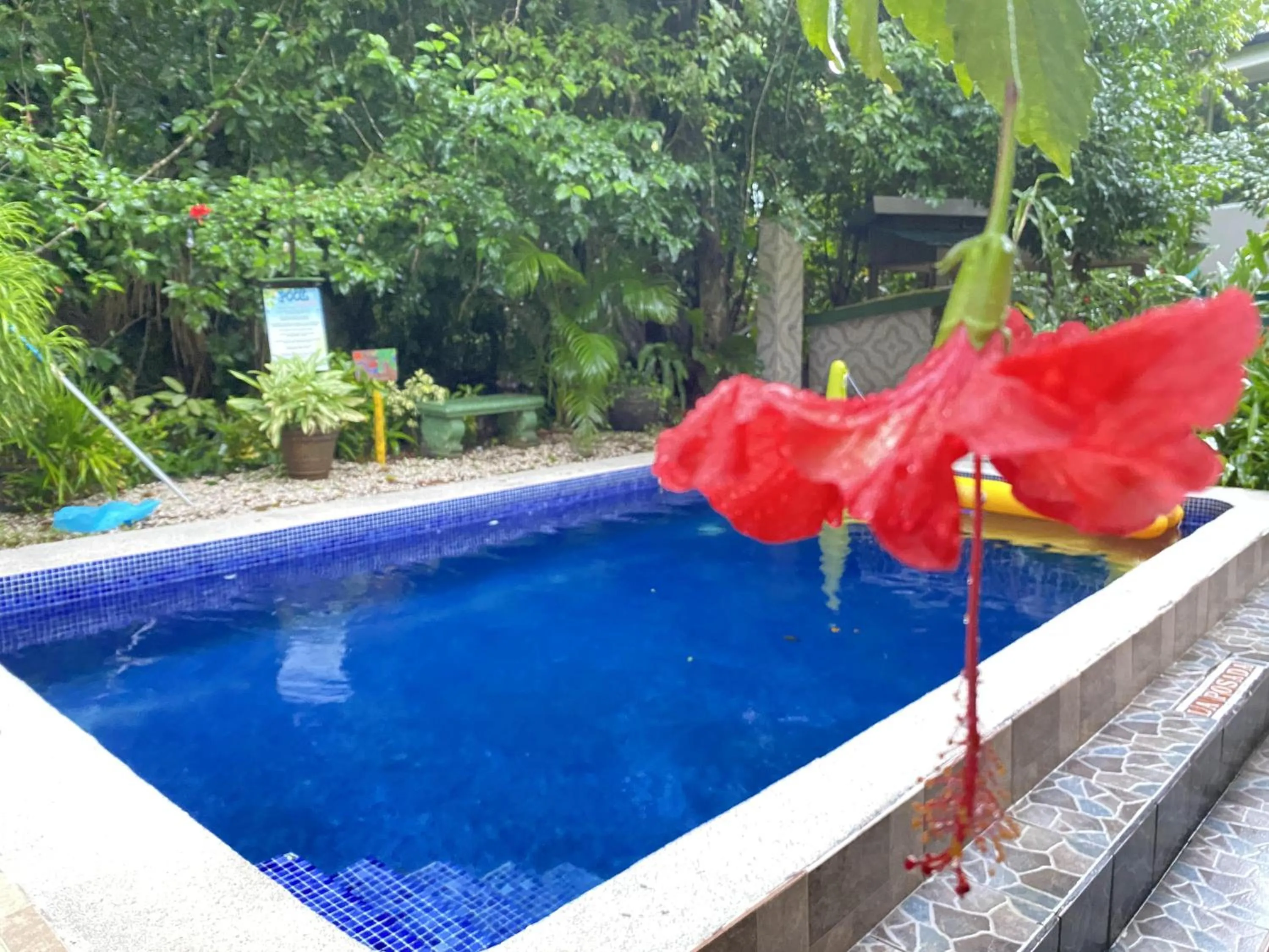 Swimming pool in La Posada Jungle Hotel
