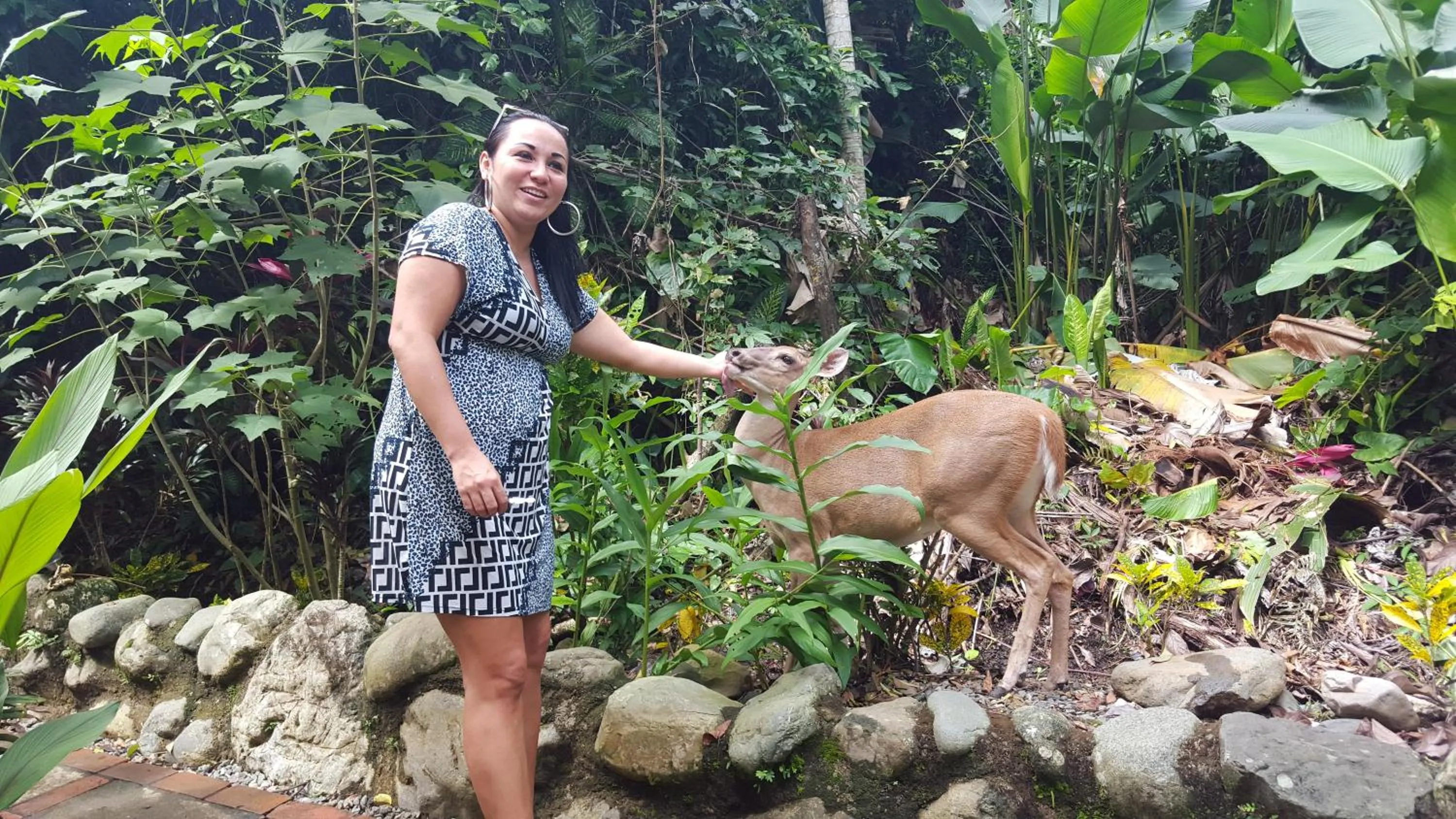 Guests in La Posada Jungle Hotel