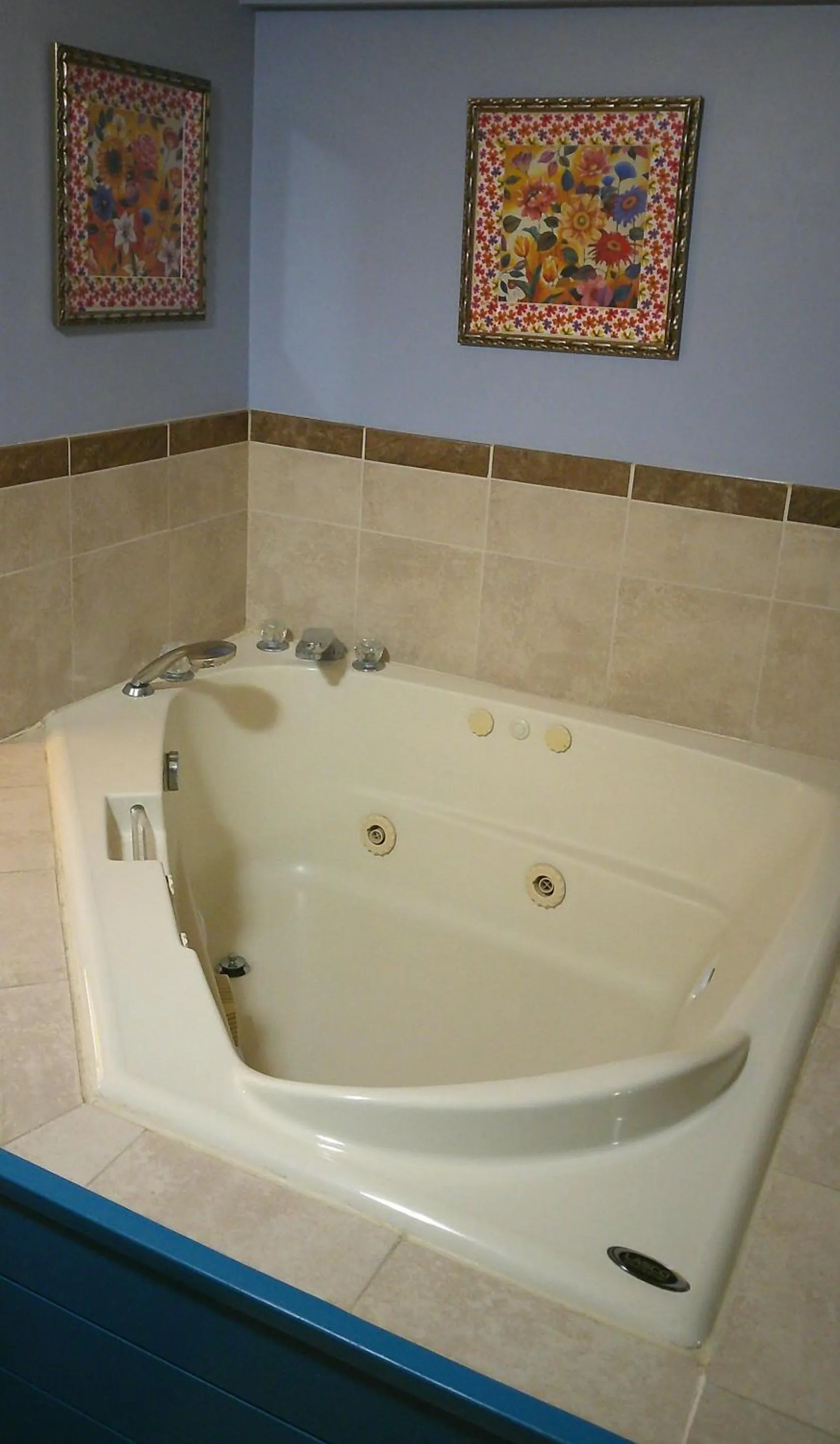 Hot Tub in Lil Black Bear Inn