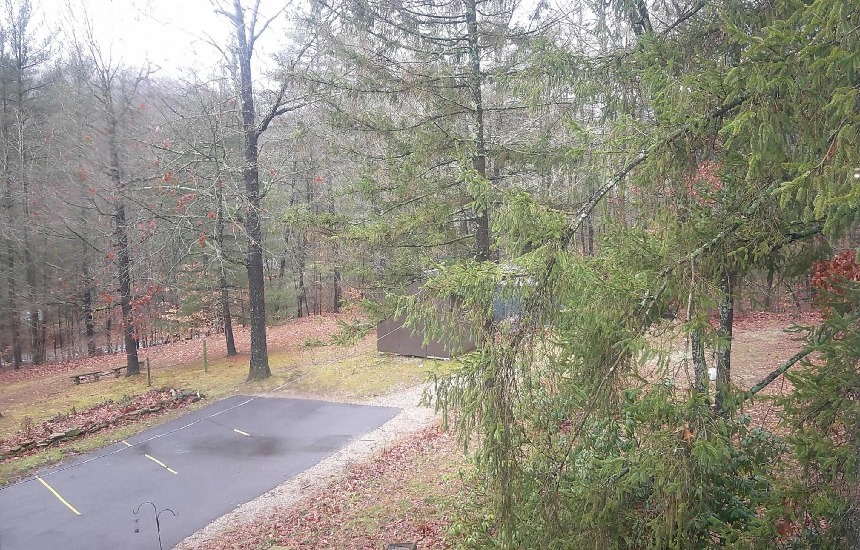 View (from property/room) in Lil Black Bear Inn