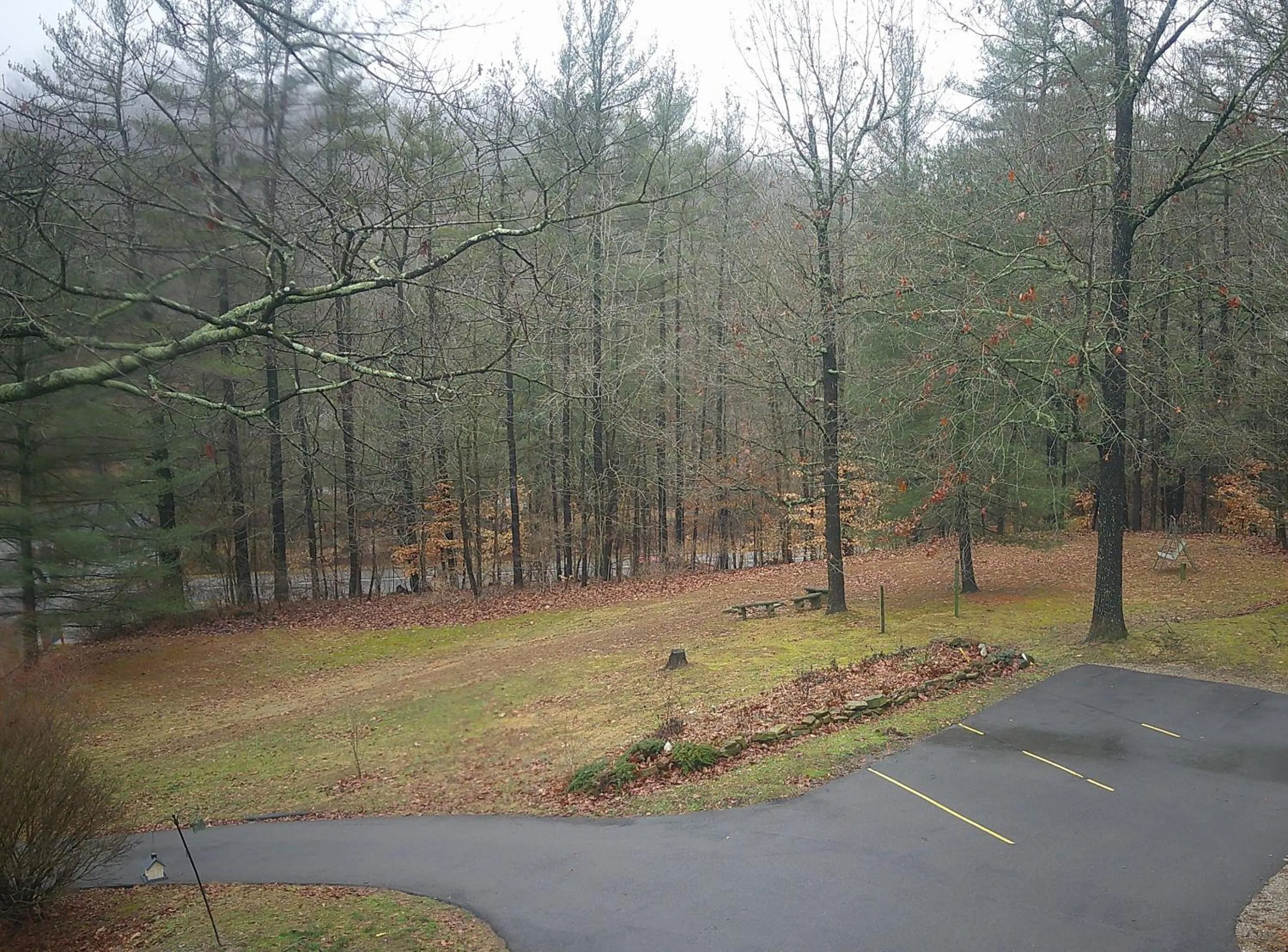 View (from property/room) in Lil Black Bear Inn