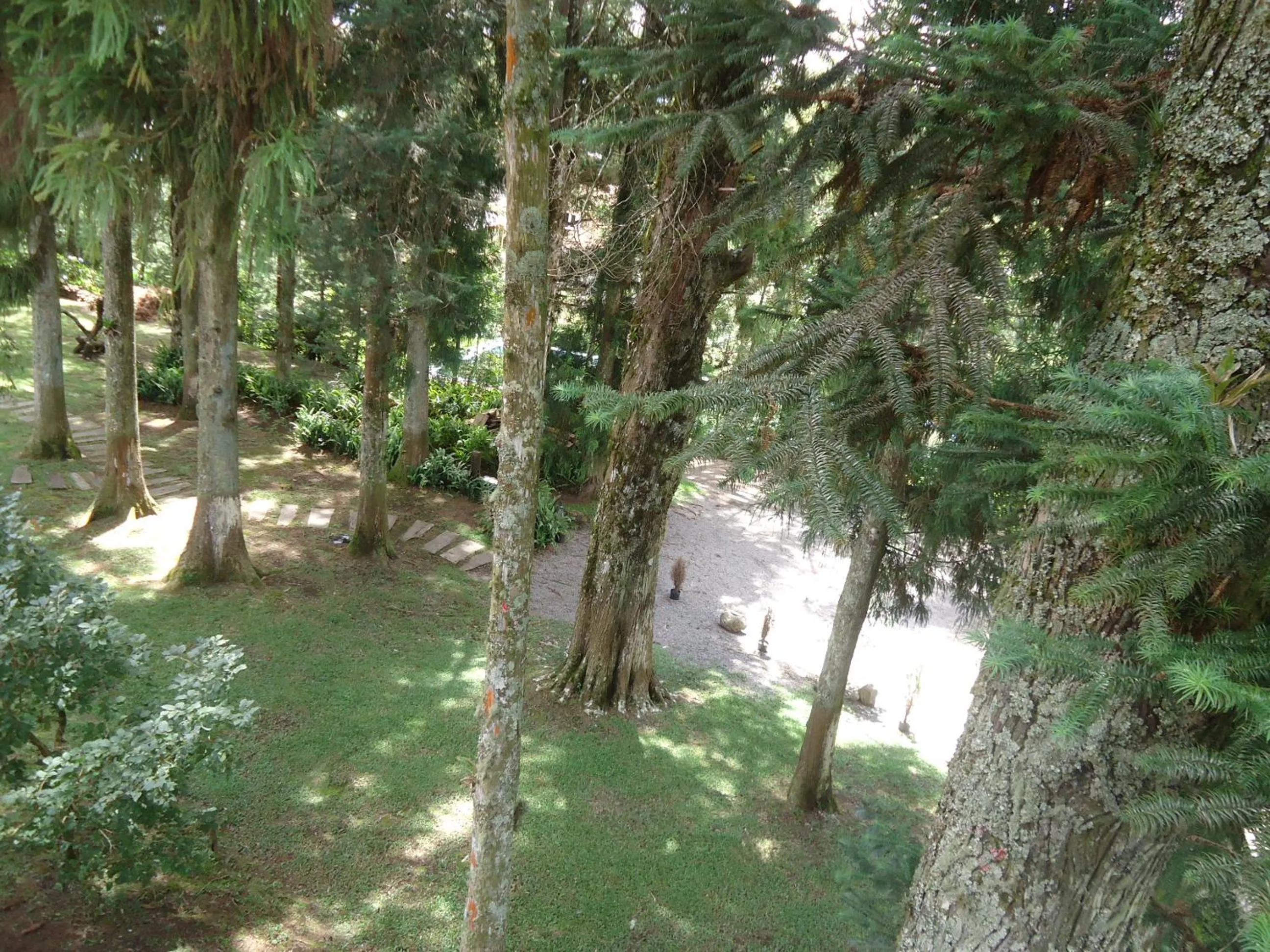 Garden in Pousada São Chico Eco Village