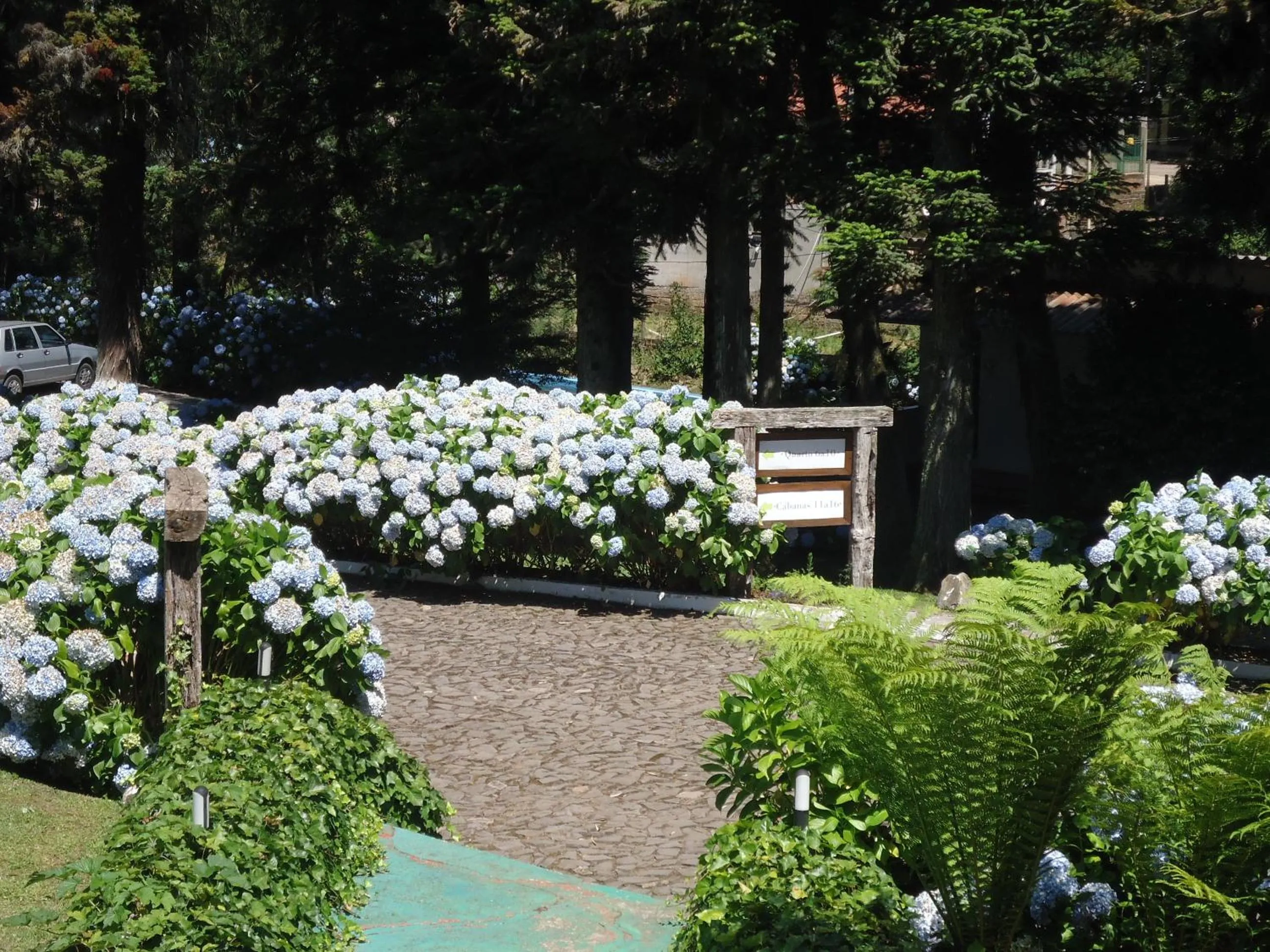 Spring in Pousada São Chico Eco Village