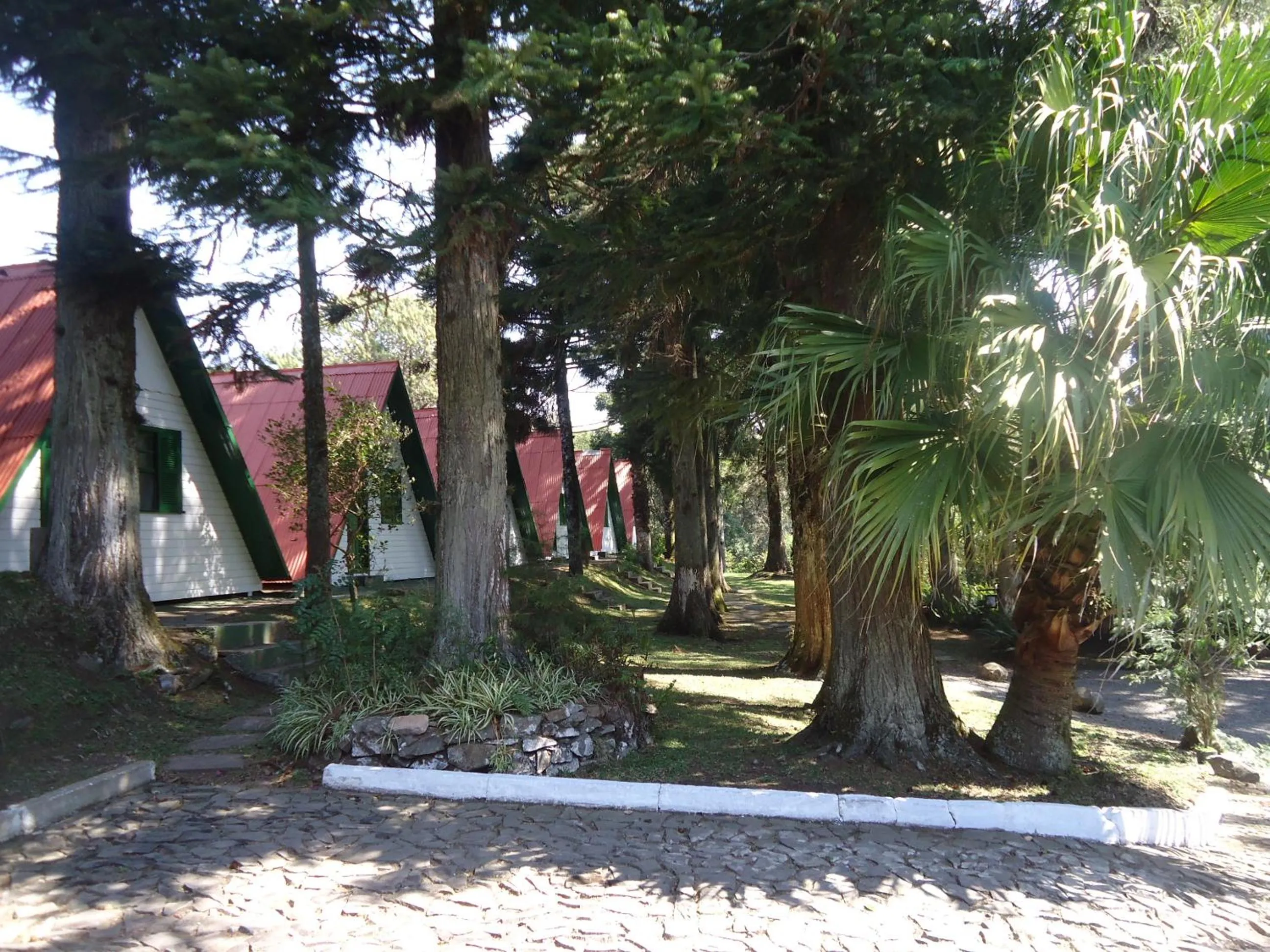 Garden in Pousada São Chico Eco Village