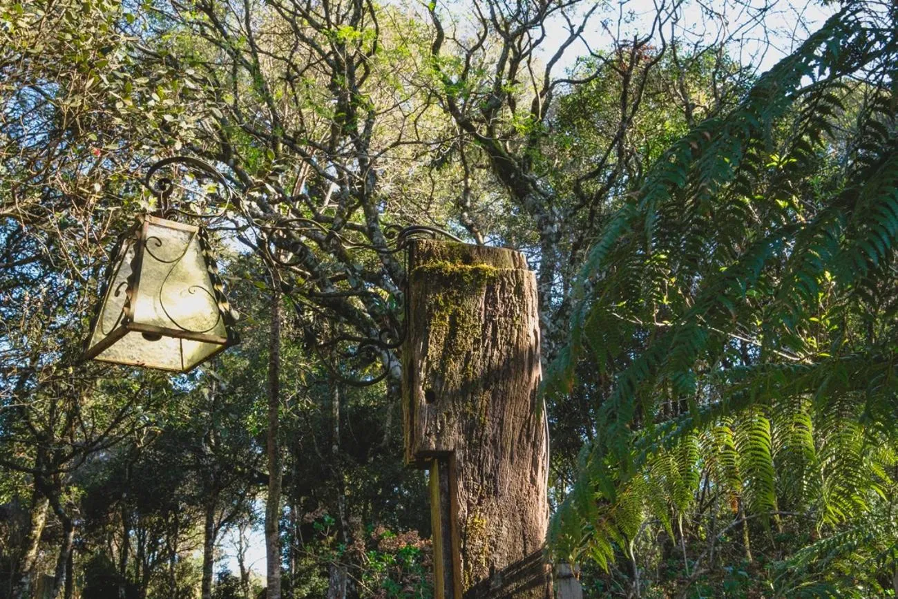 Garden in Pousada São Chico Eco Village