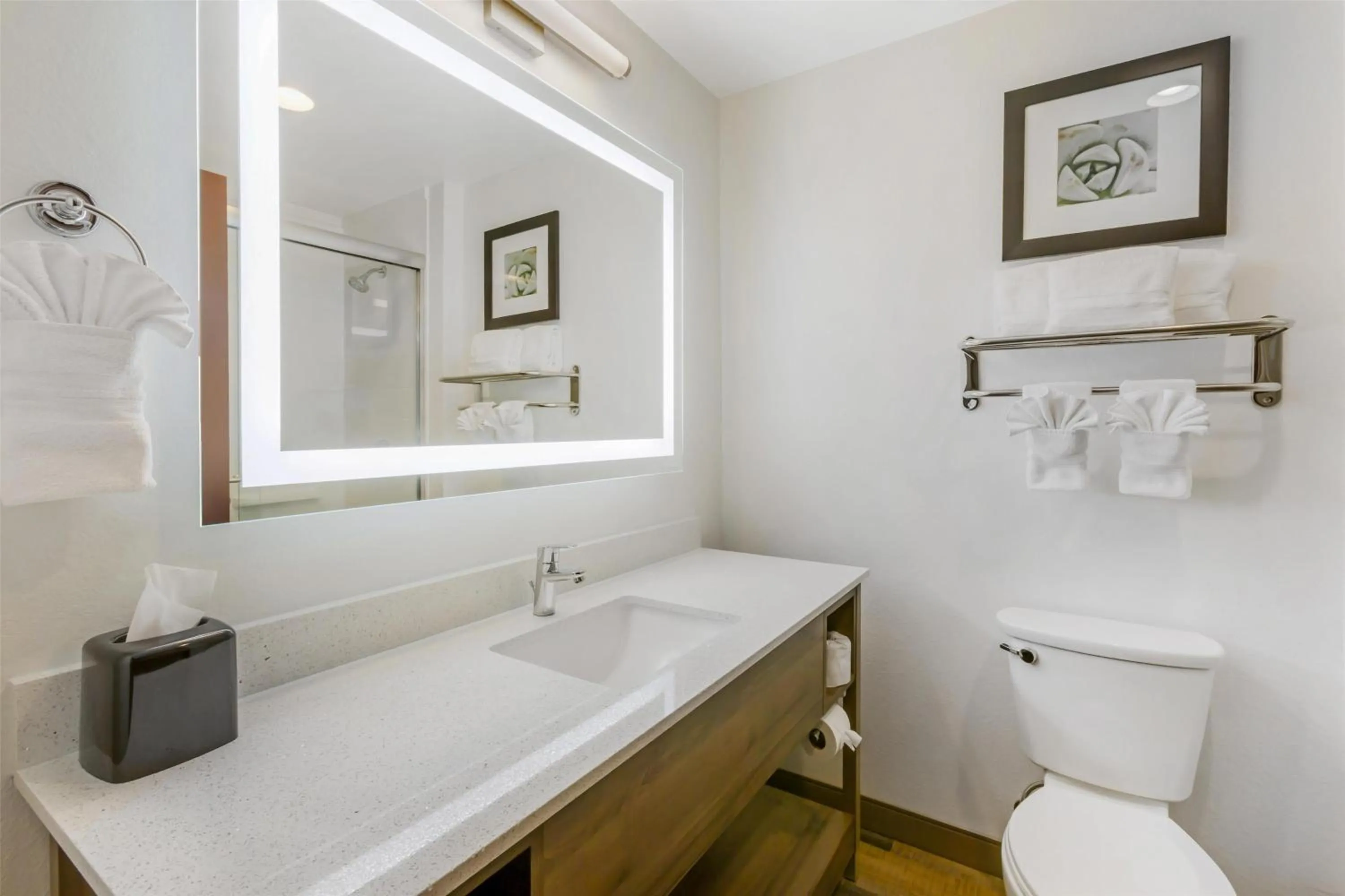 Bathroom in Best Western Plus Casa Grande Inn & Suites