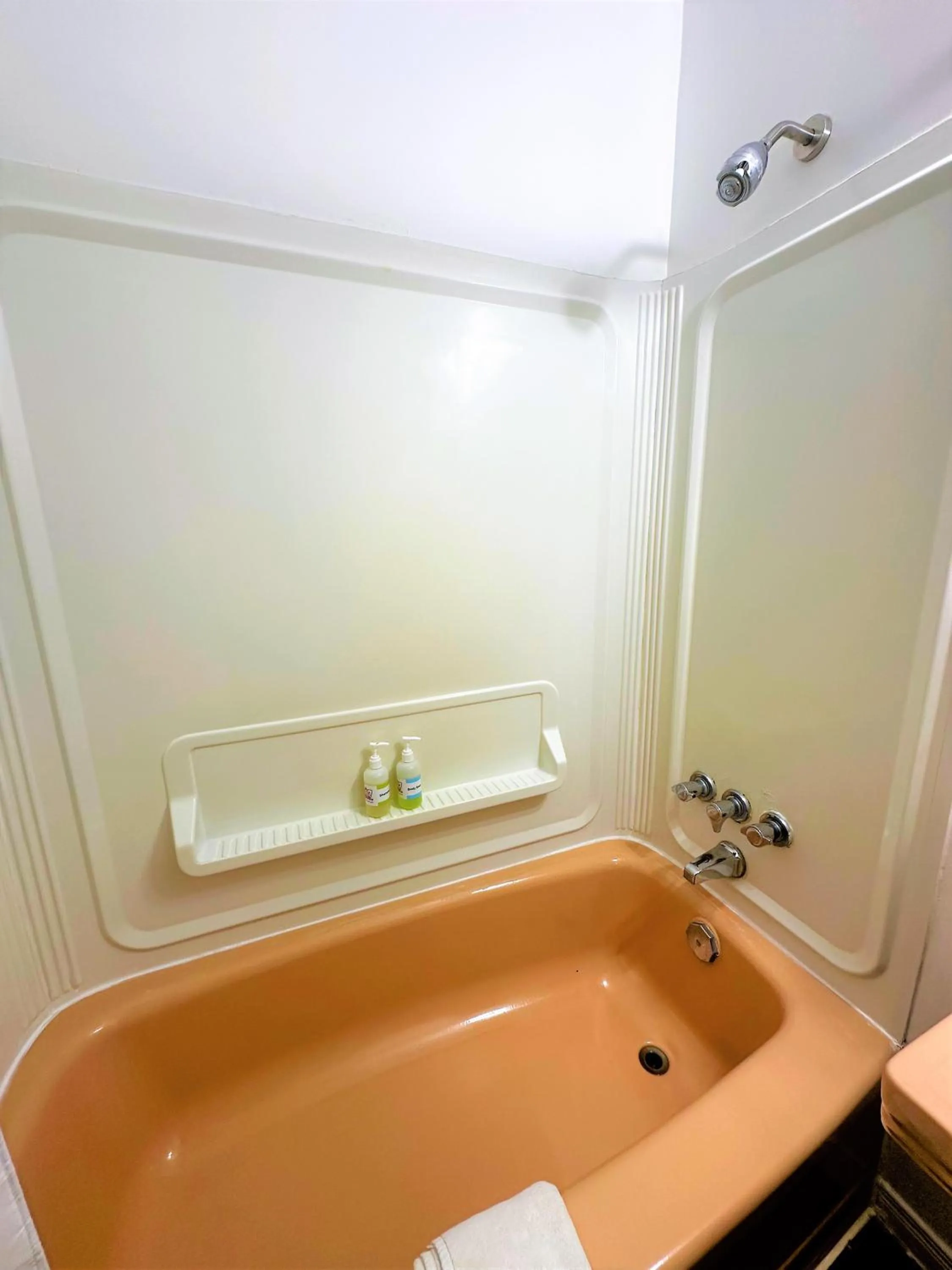 Bathroom in Red Top Motor Inn