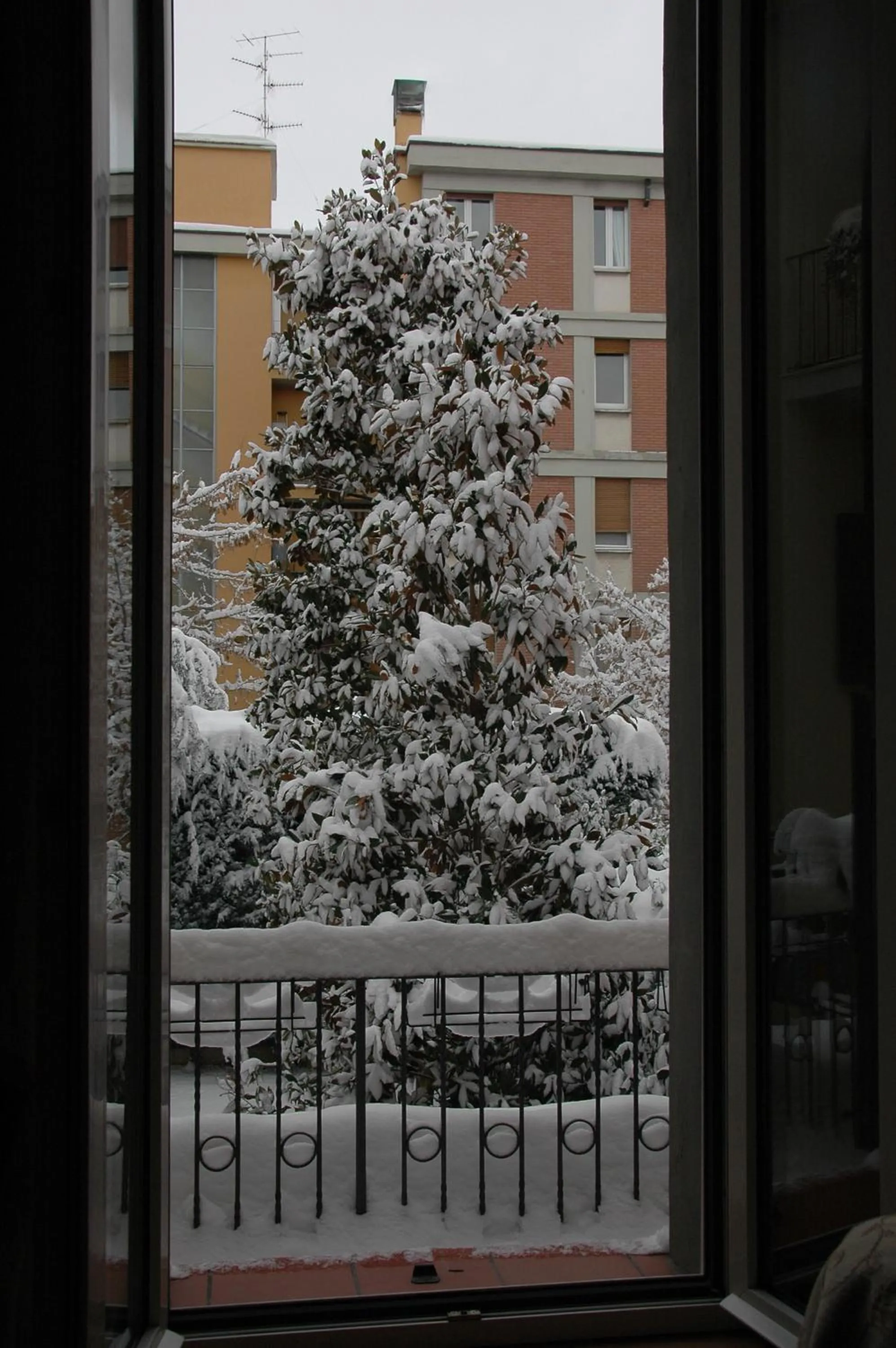 Winter in La Magnolia B&B