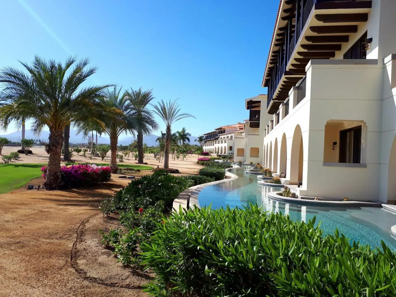 Swimming pool in Secrets Puerto Los Cabos Golf & Spa18+