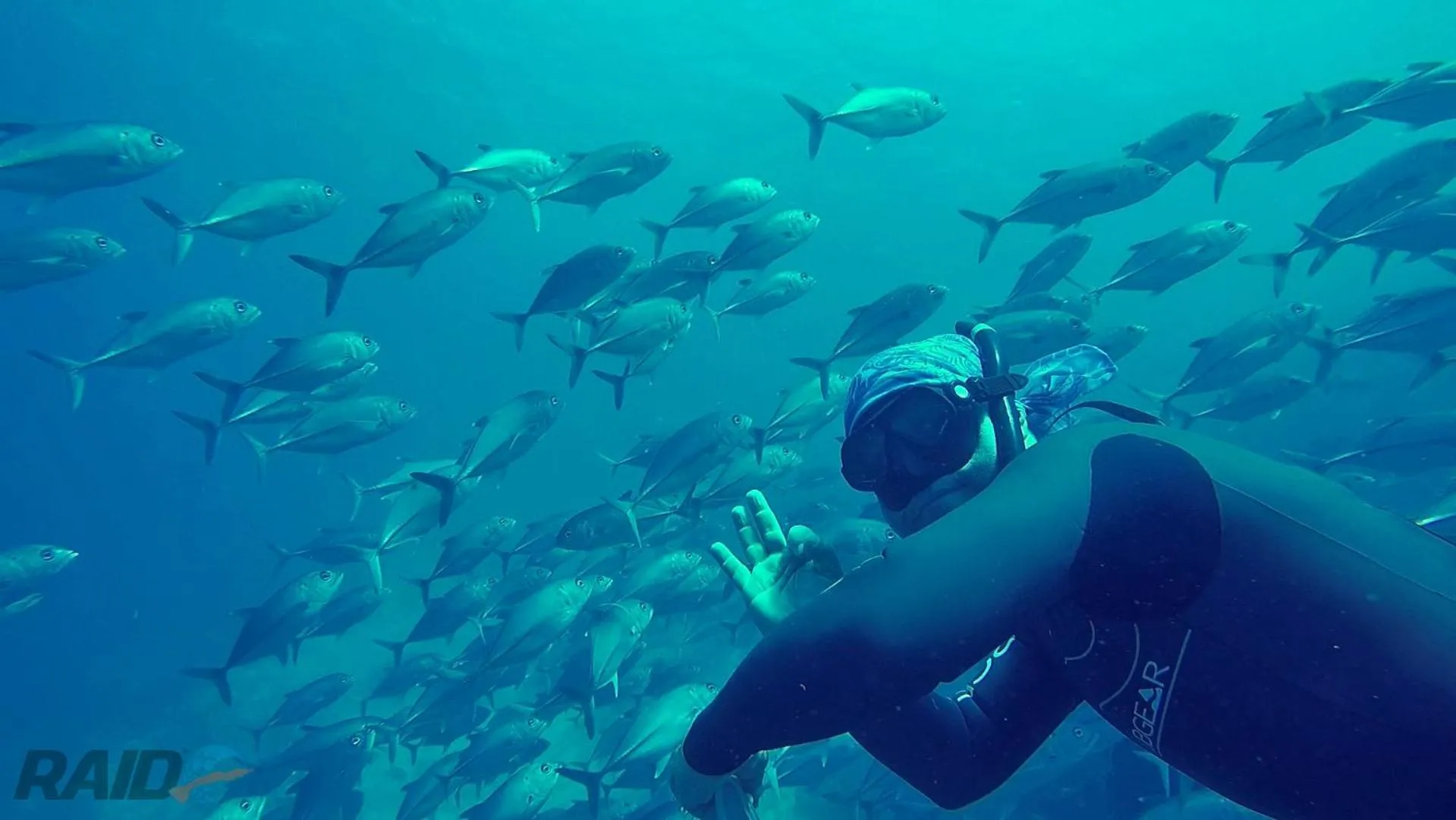 Diving in Kurma Eco Beach Lodge