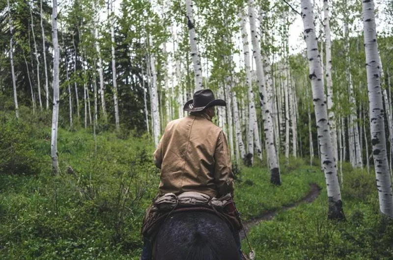 Property building in Snowmass Woodrun V 2 Bedroom Ski In, Ski Out Mountain Residence In The Heart Of Snowmass Village