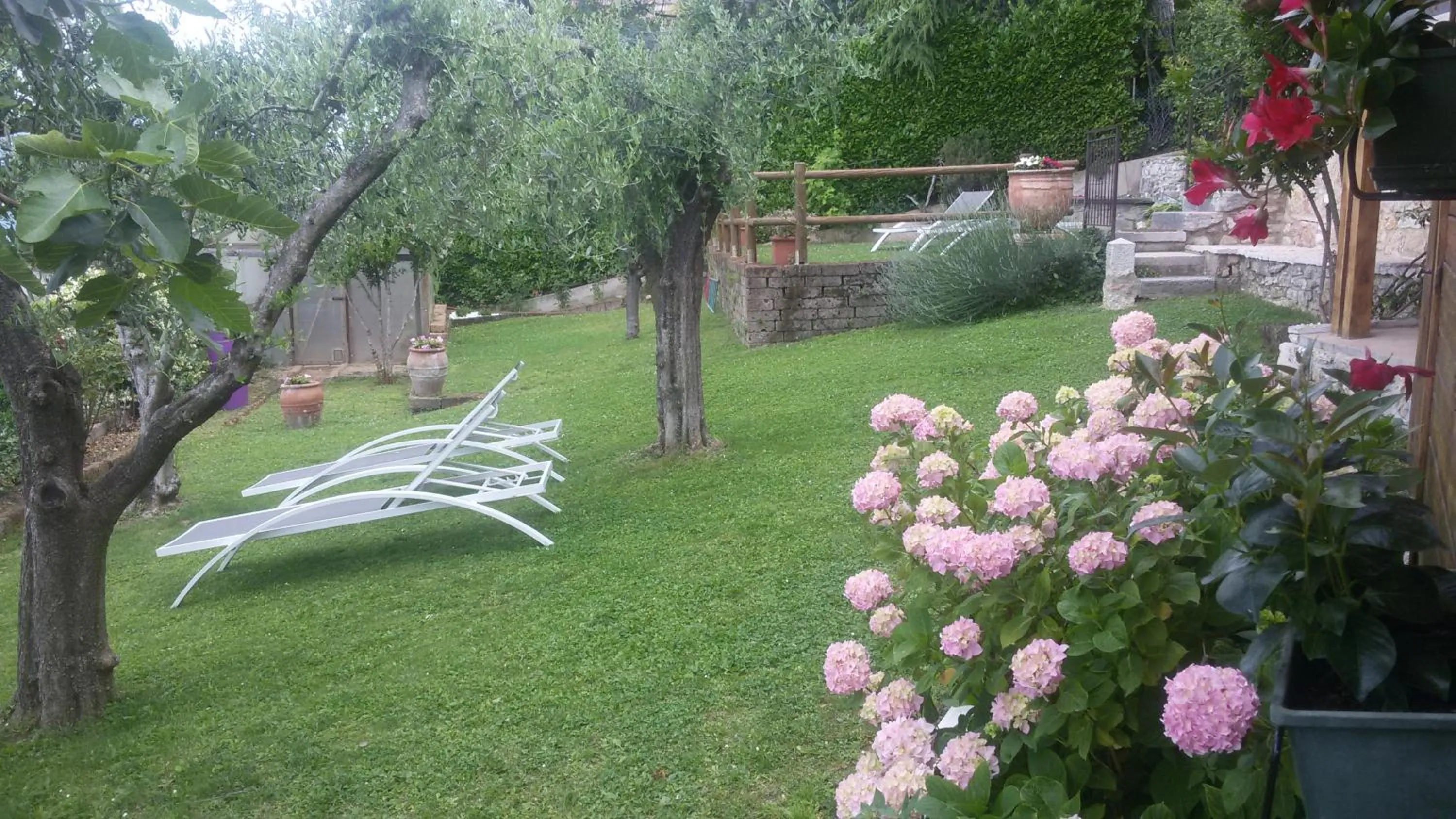 Spring in B&B da Paolo con vista Lago di Garda
