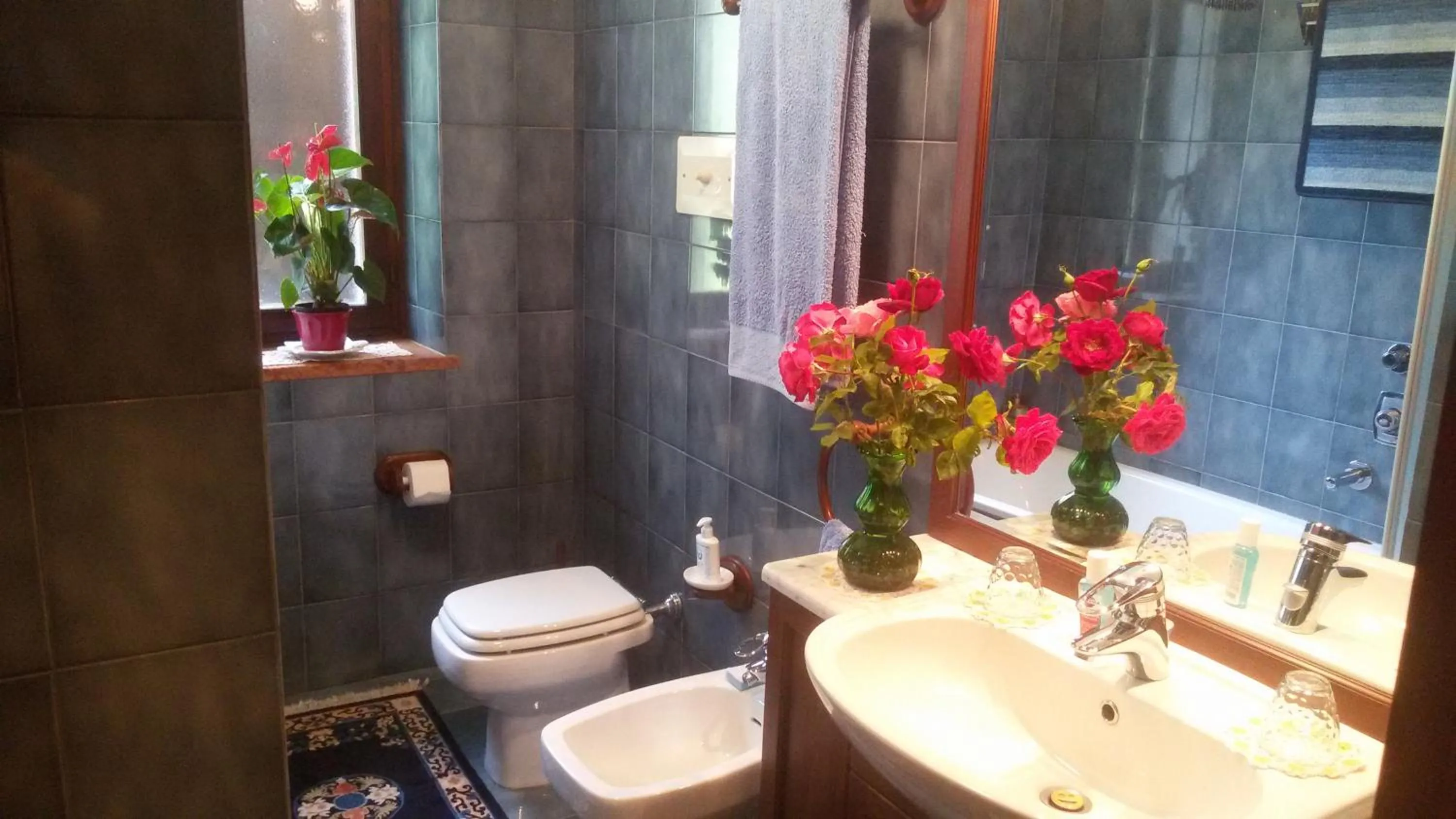 Bathroom in B&B da Paolo con vista Lago di Garda