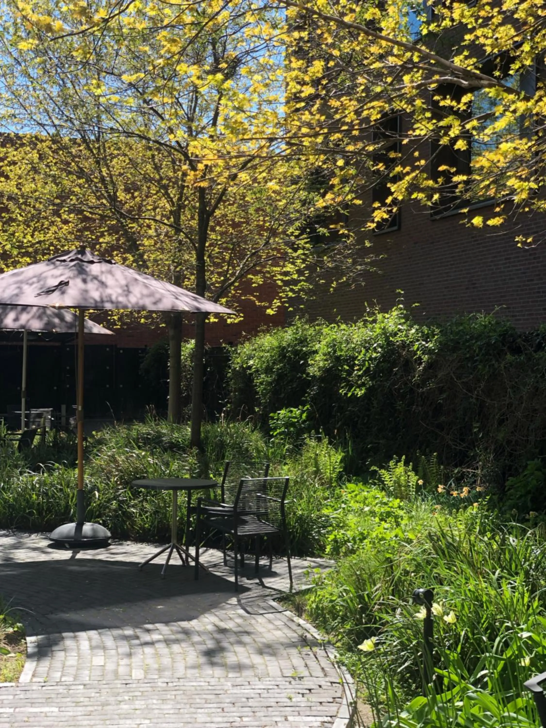 Garden in Wakeup Copenhagen - Borgergade