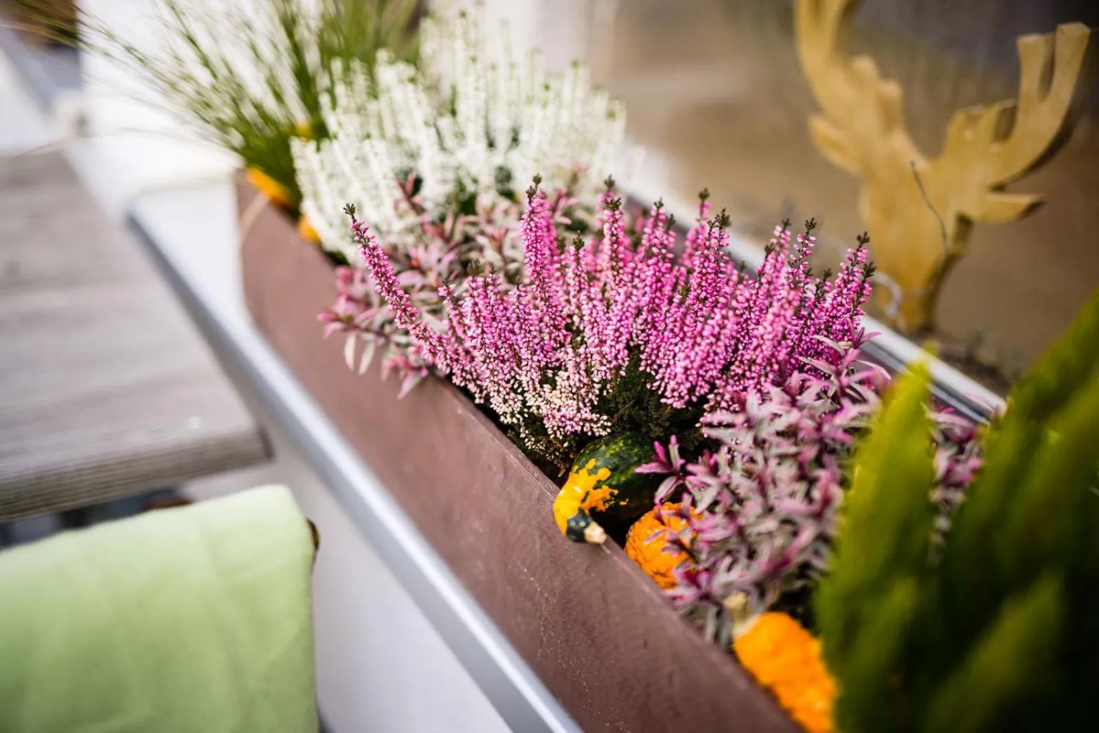 Restaurant/places to eat in Landhotel Küffner