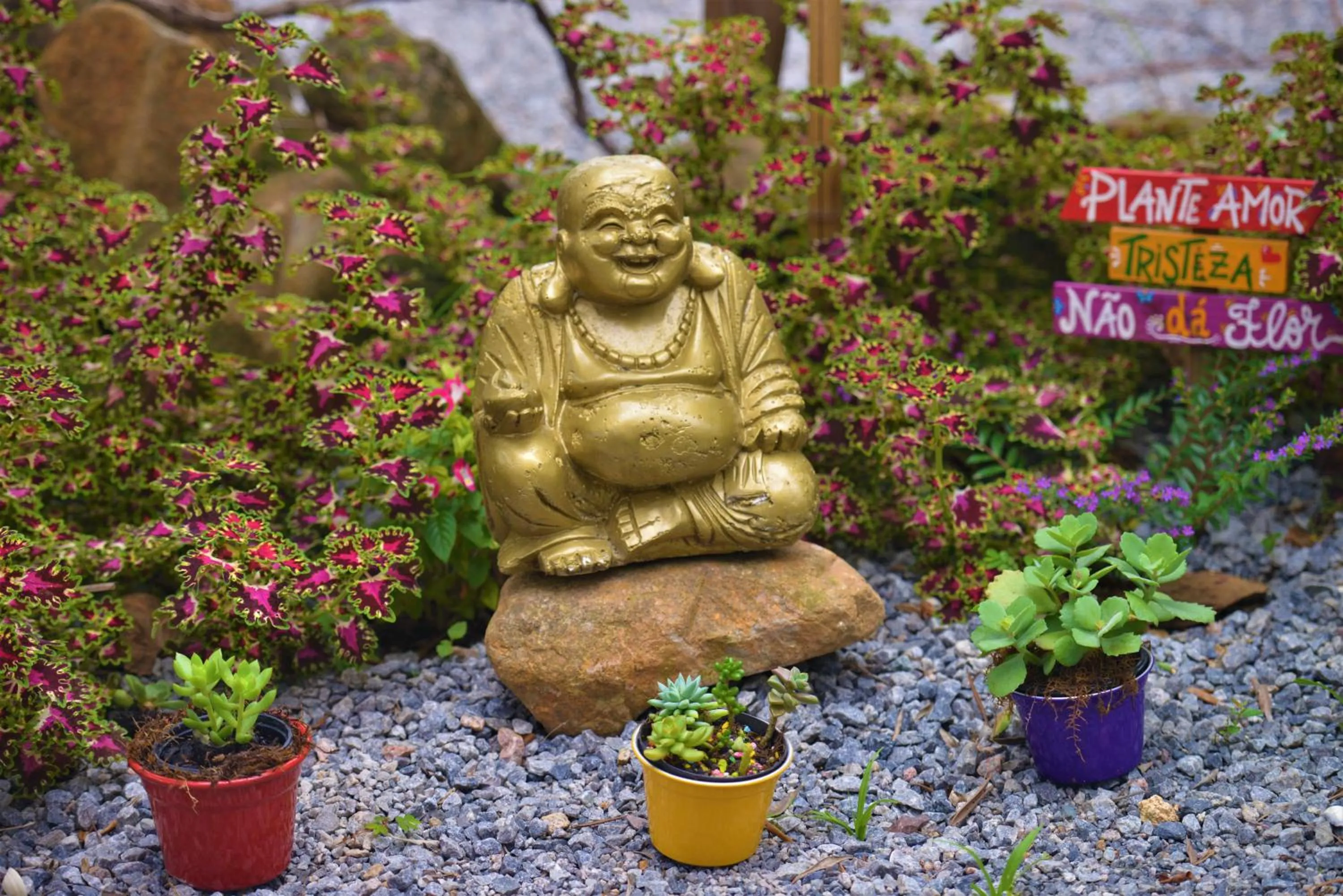 Garden in Hotel Ferrugem Eco Village