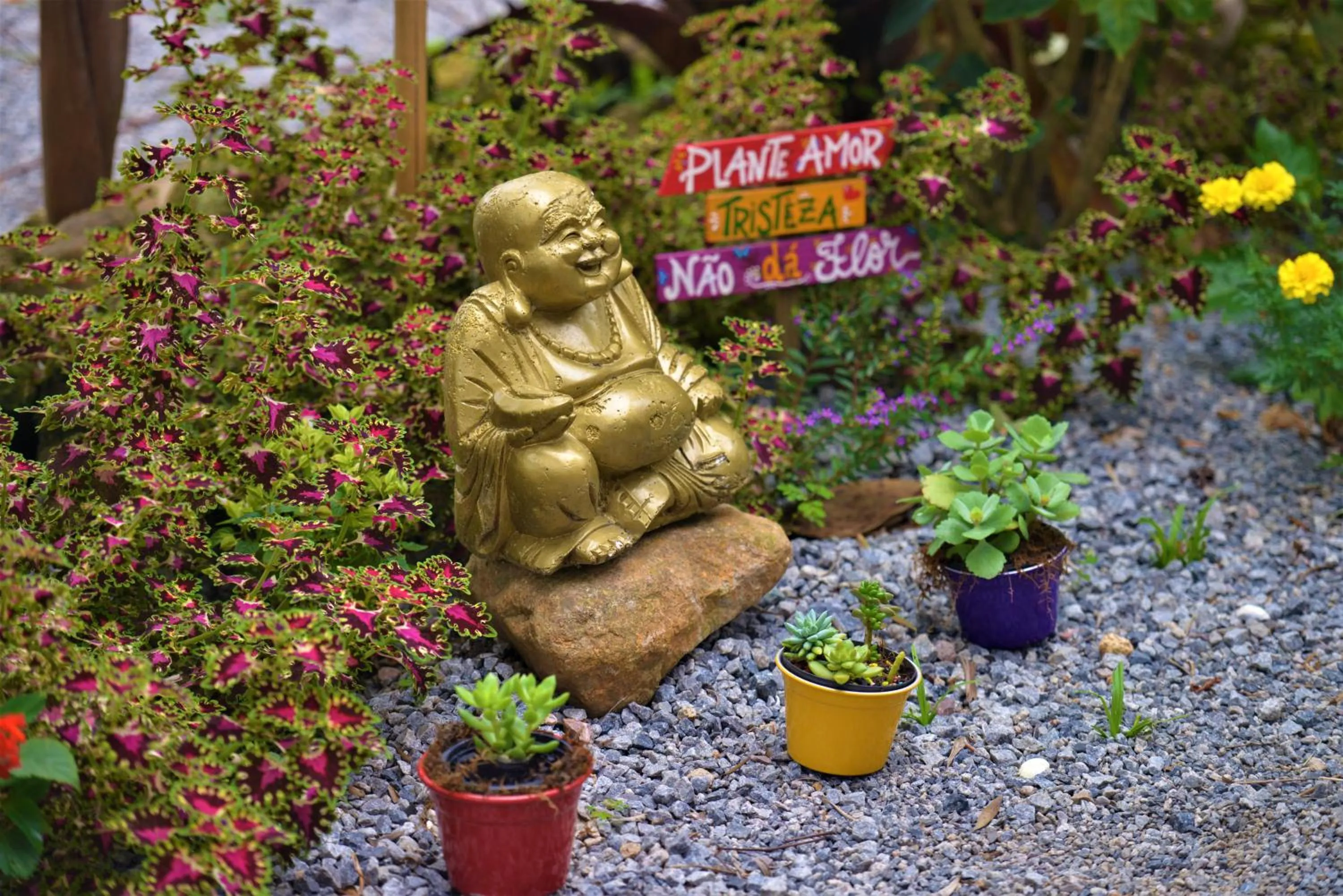 Garden in Hotel Ferrugem Eco Village
